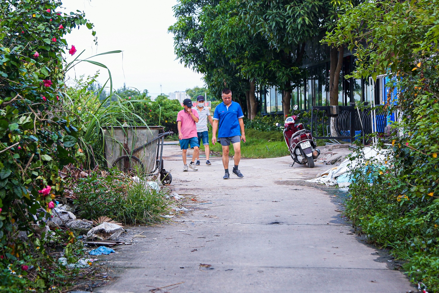 Cong vien bo hoang anh 16