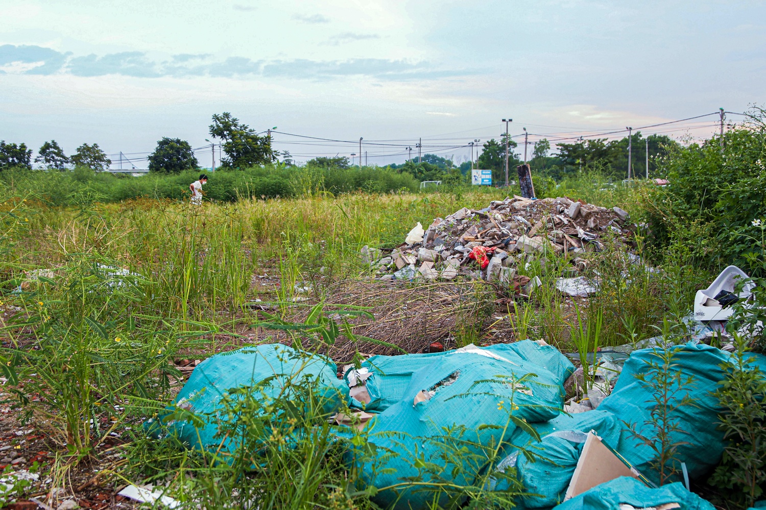 Cong vien bo hoang anh 17