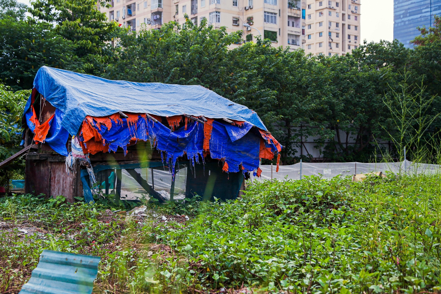 Cong vien bo hoang anh 20