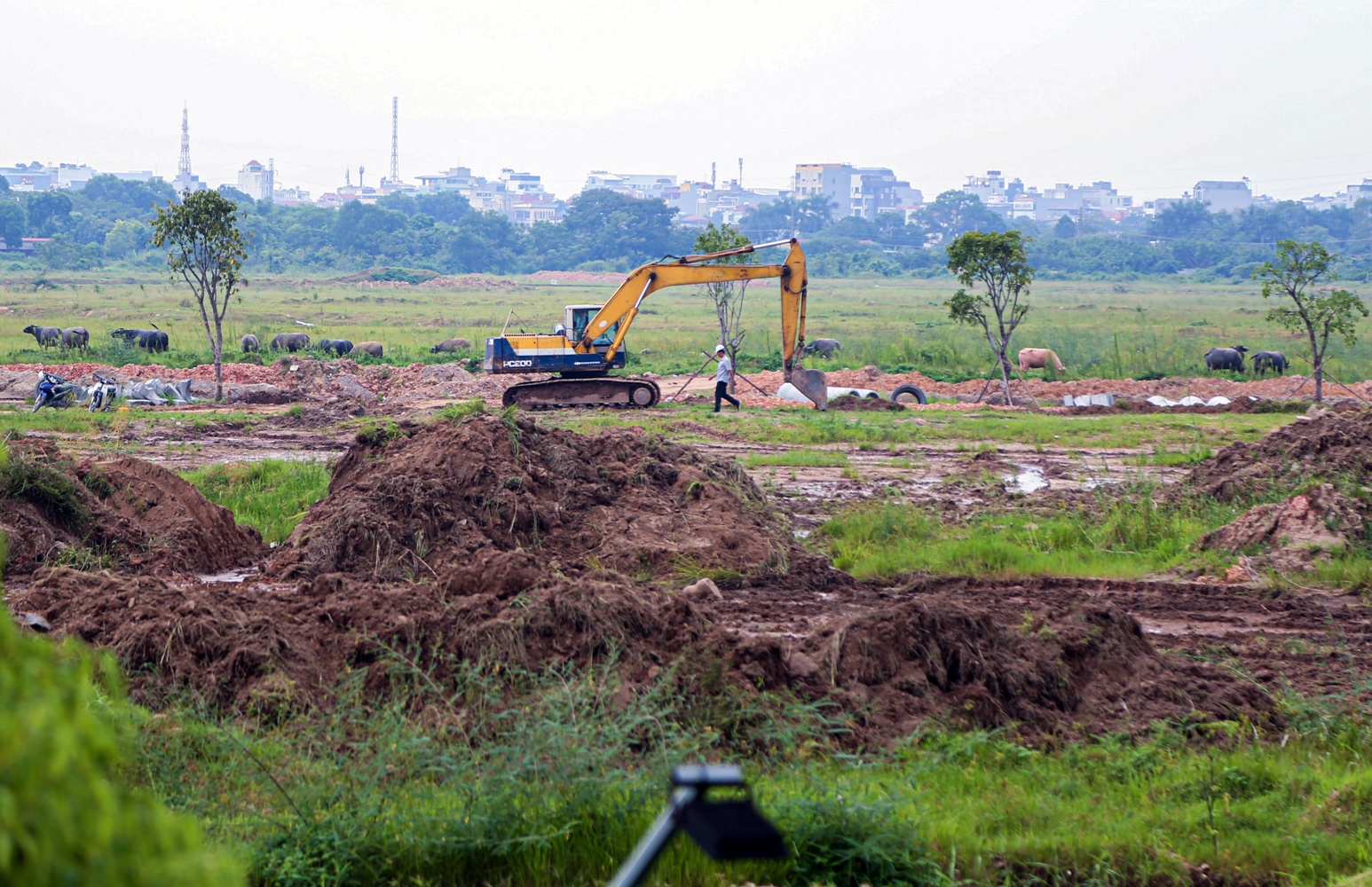 Cong vien bo hoang anh 25