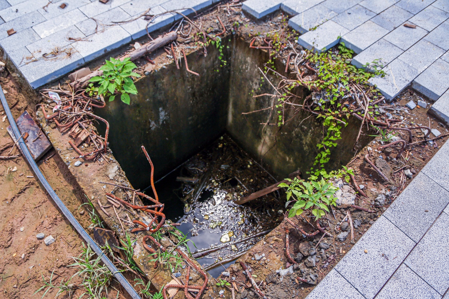 Cong vien bo hoang anh 4