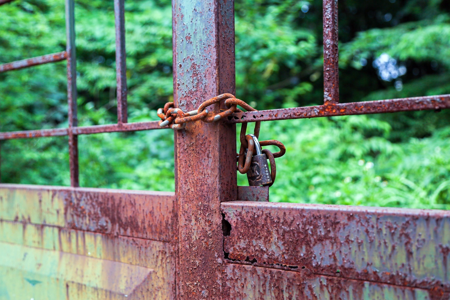 Loat du an cong vien nghin ty o Ha Noi thanh bai rac, khu trong rau hinh anh