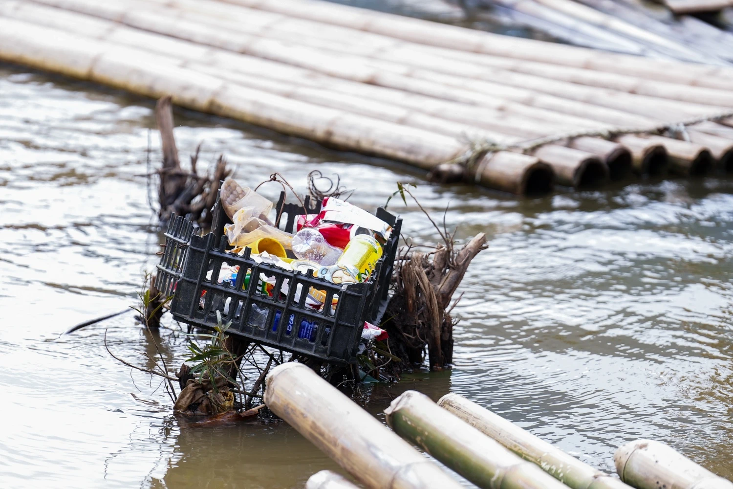 Cam trai nghi le anh 11