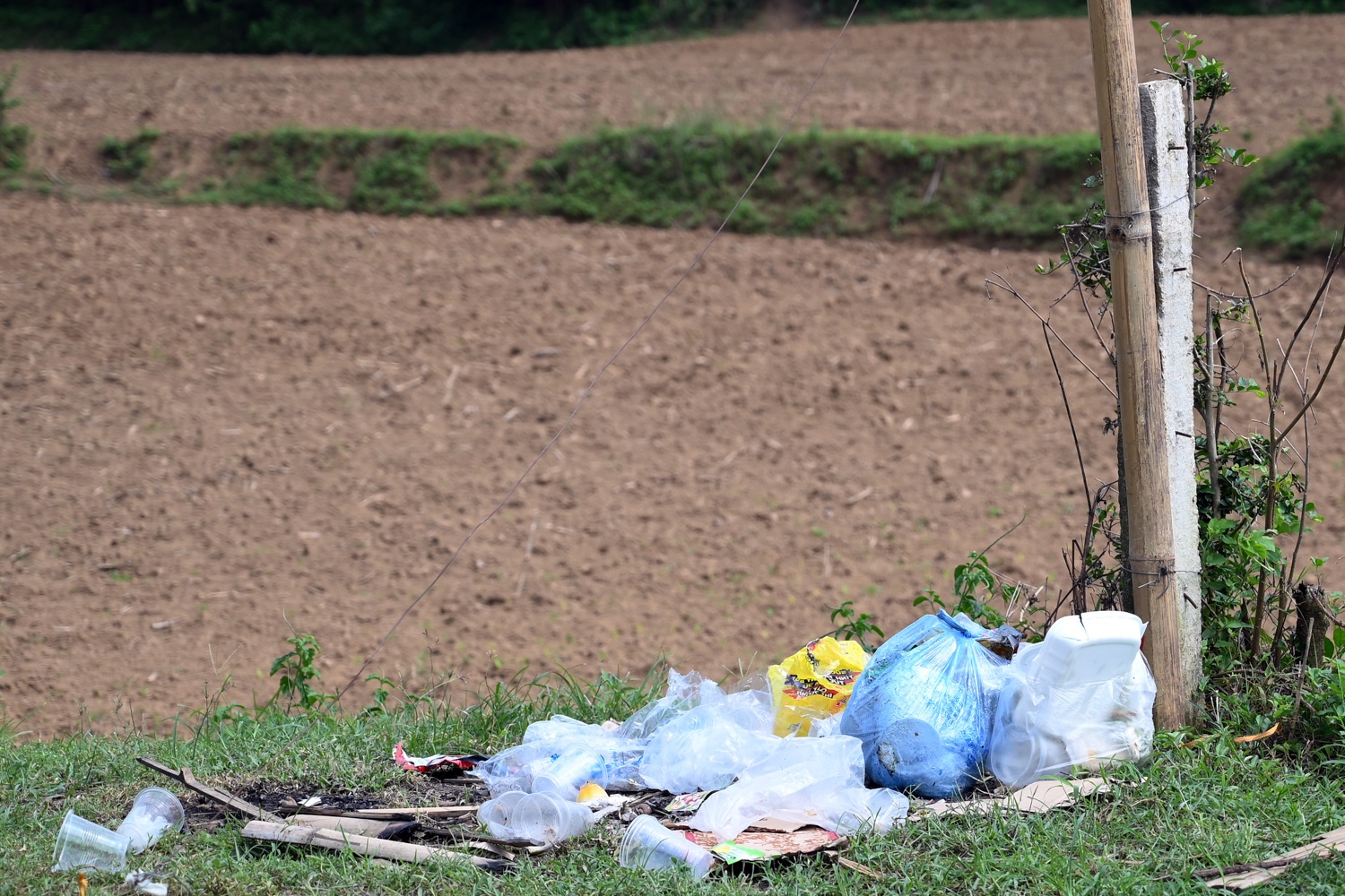 Cam trai nghi le anh 12