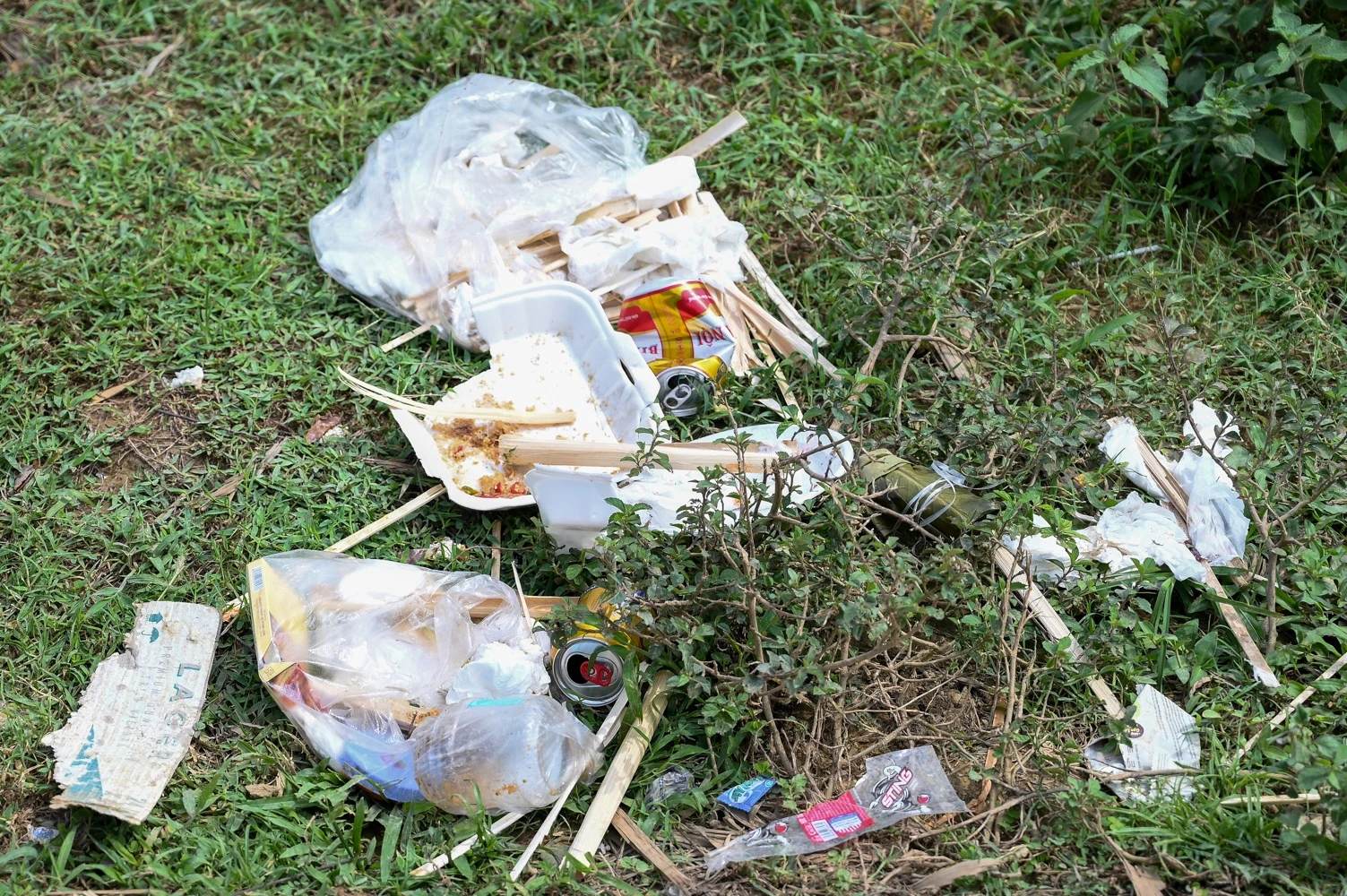 Cam trai nghi le anh 14