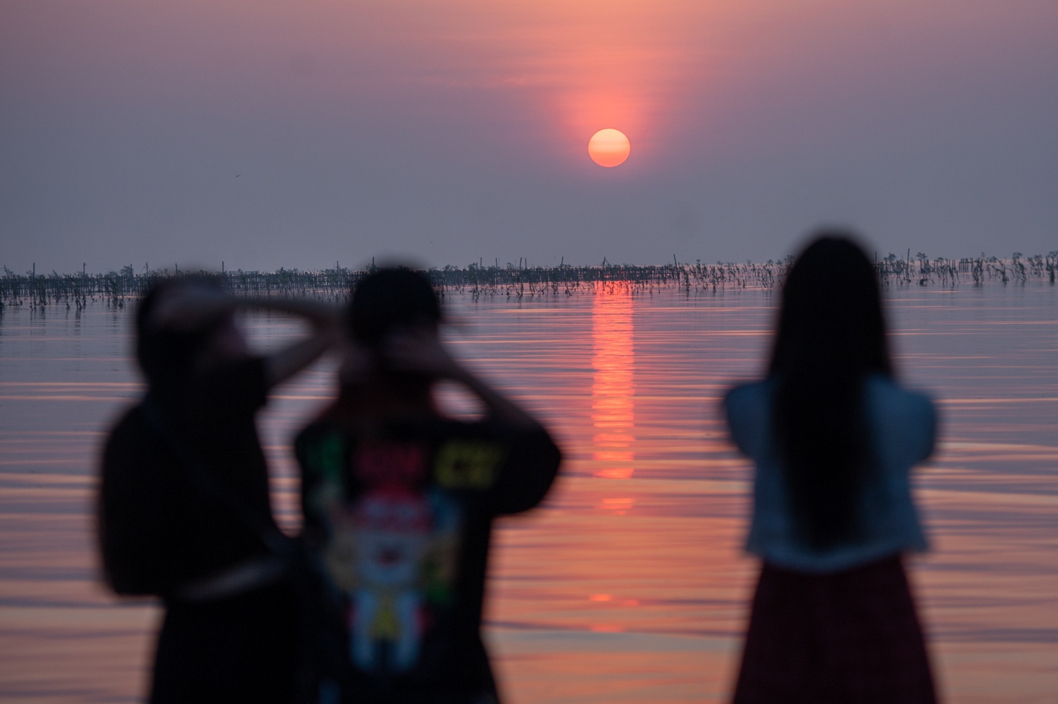 Bien vo cuc Thai Binh anh 1