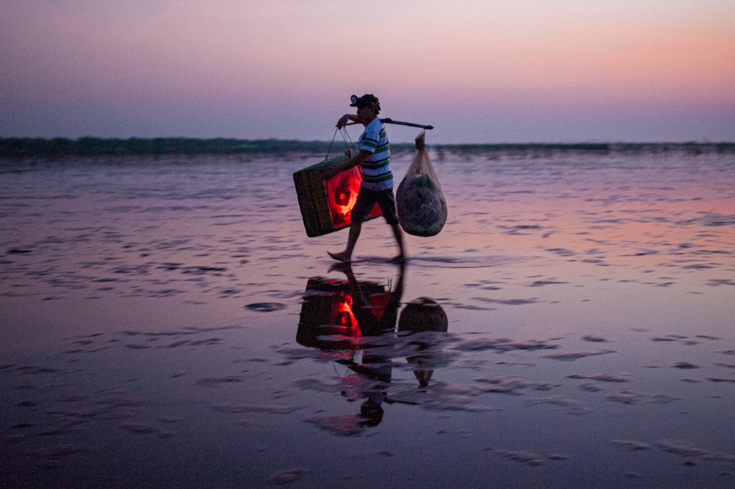 Bien vo cuc Thai Binh anh 2