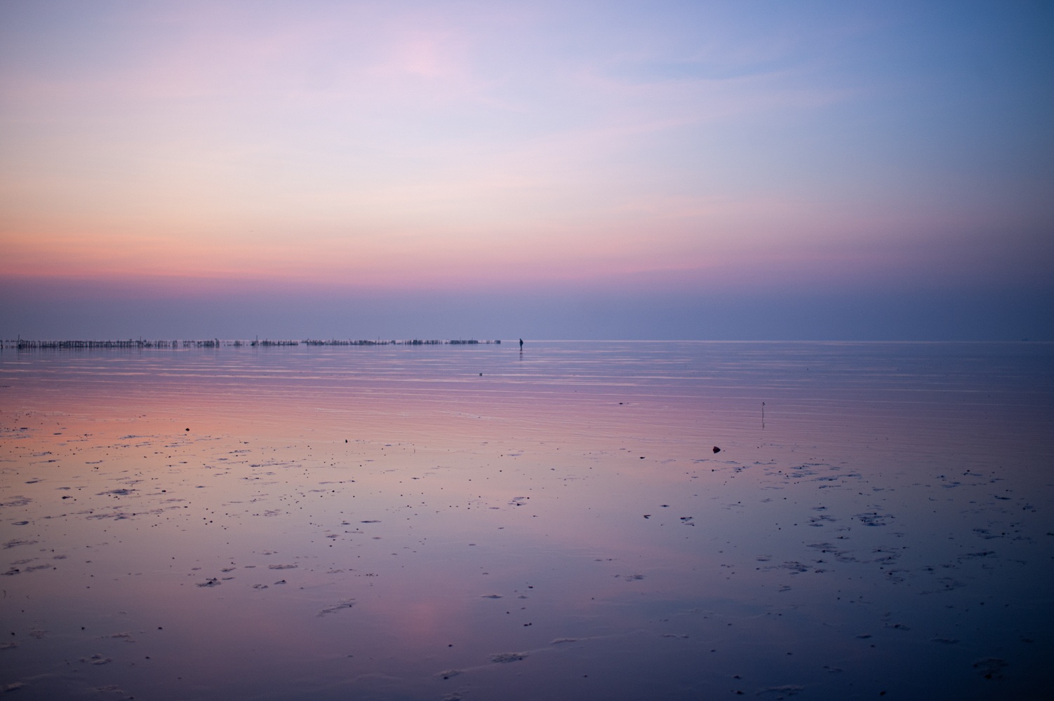 Bien vo cuc Thai Binh anh 5