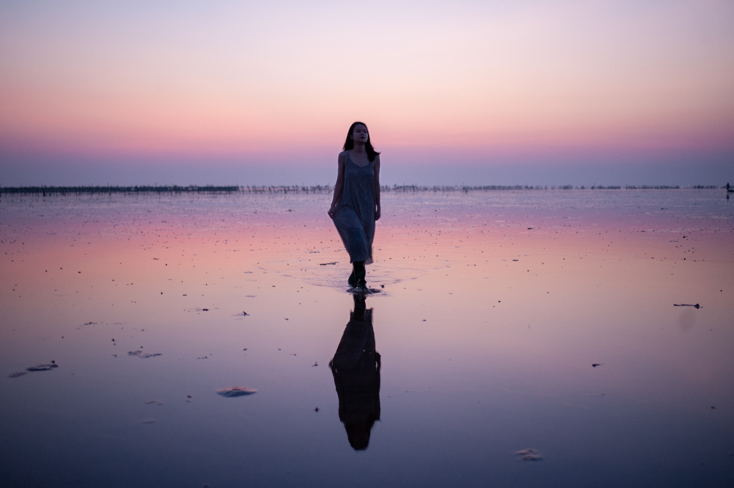 Bien vo cuc Thai Binh anh 7