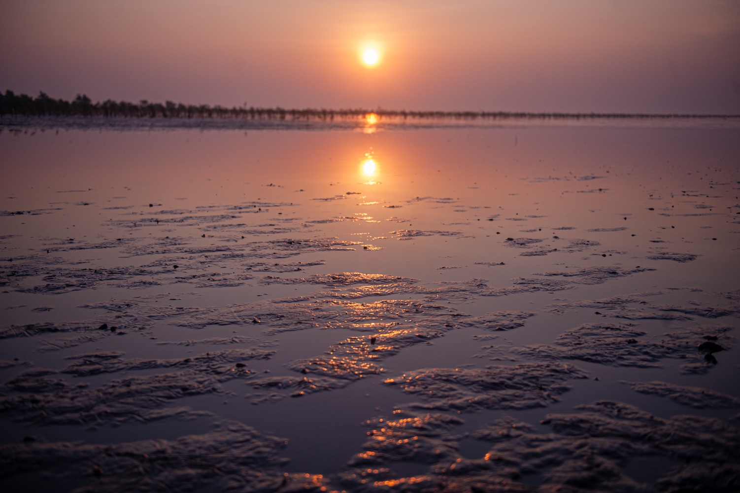 Bien vo cuc Thai Binh anh 9