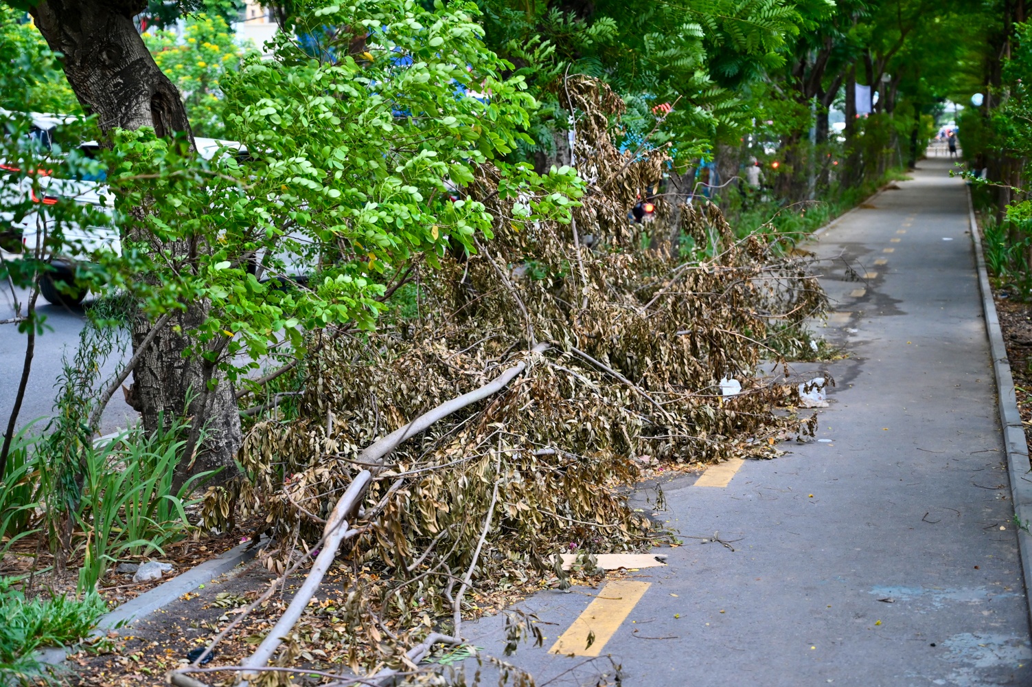 Duong di bo Ha Noi anh 4