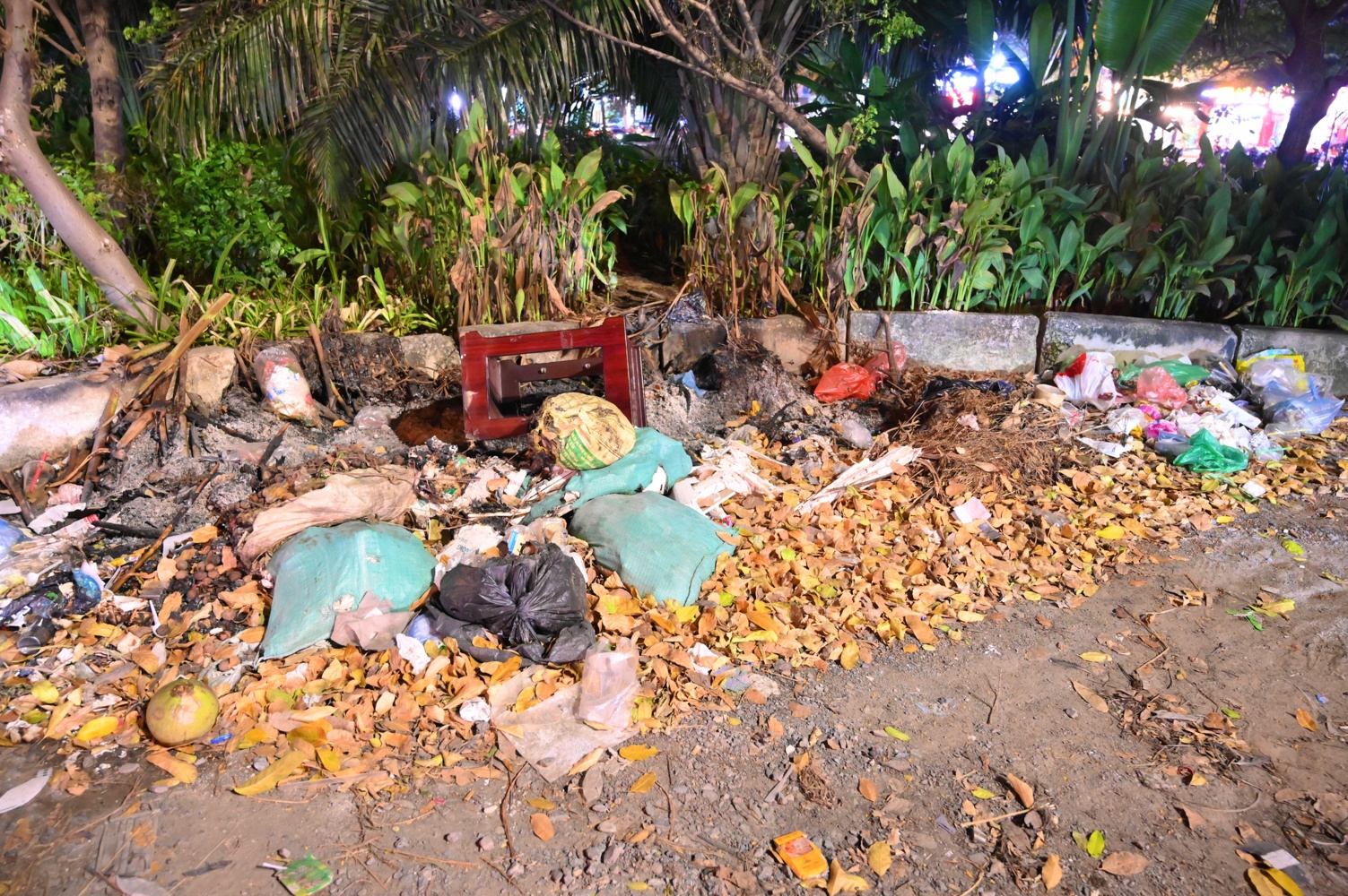 Duong di bo Ha Noi anh 9