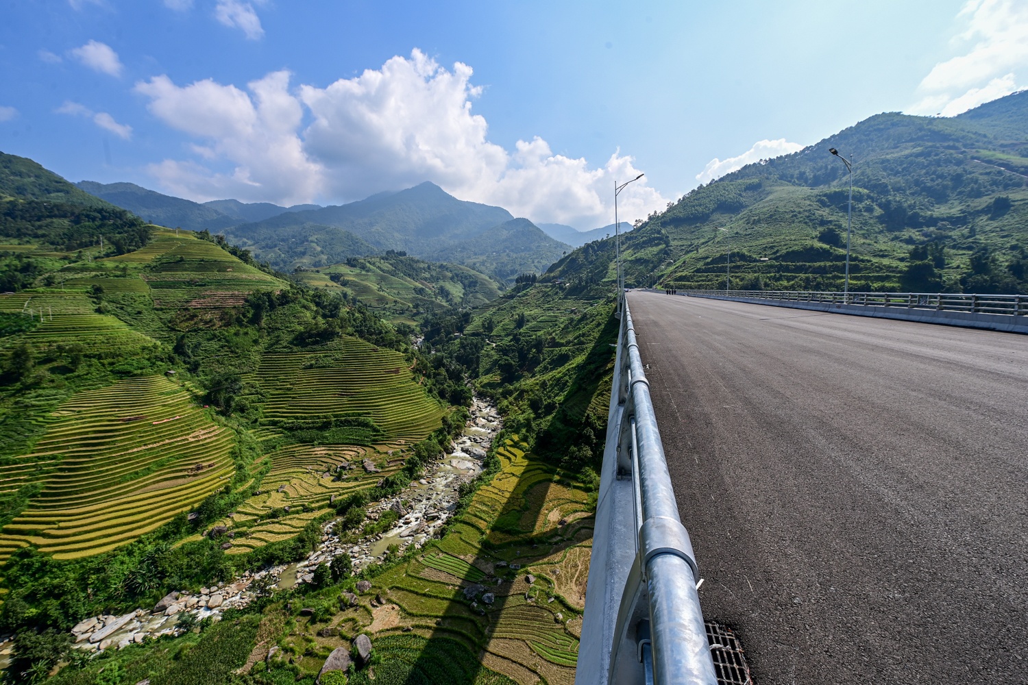 Cau can Mong Sen anh 12