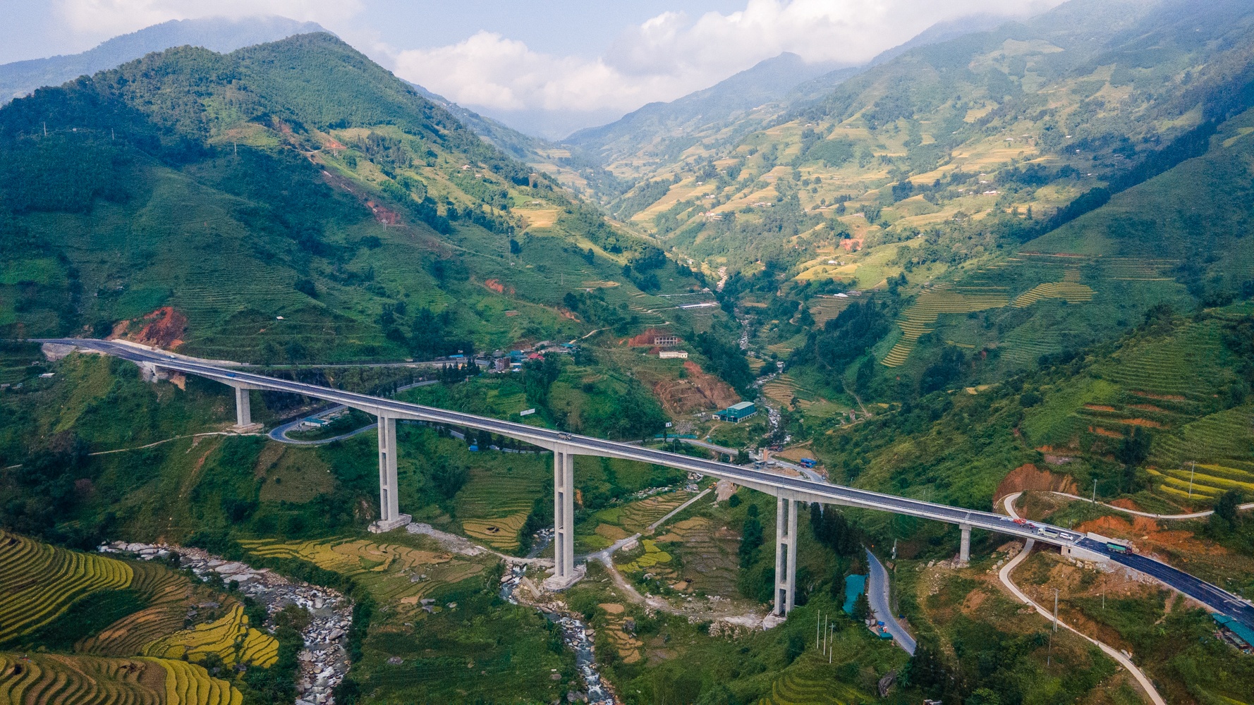 Cau can Mong Sen anh 2