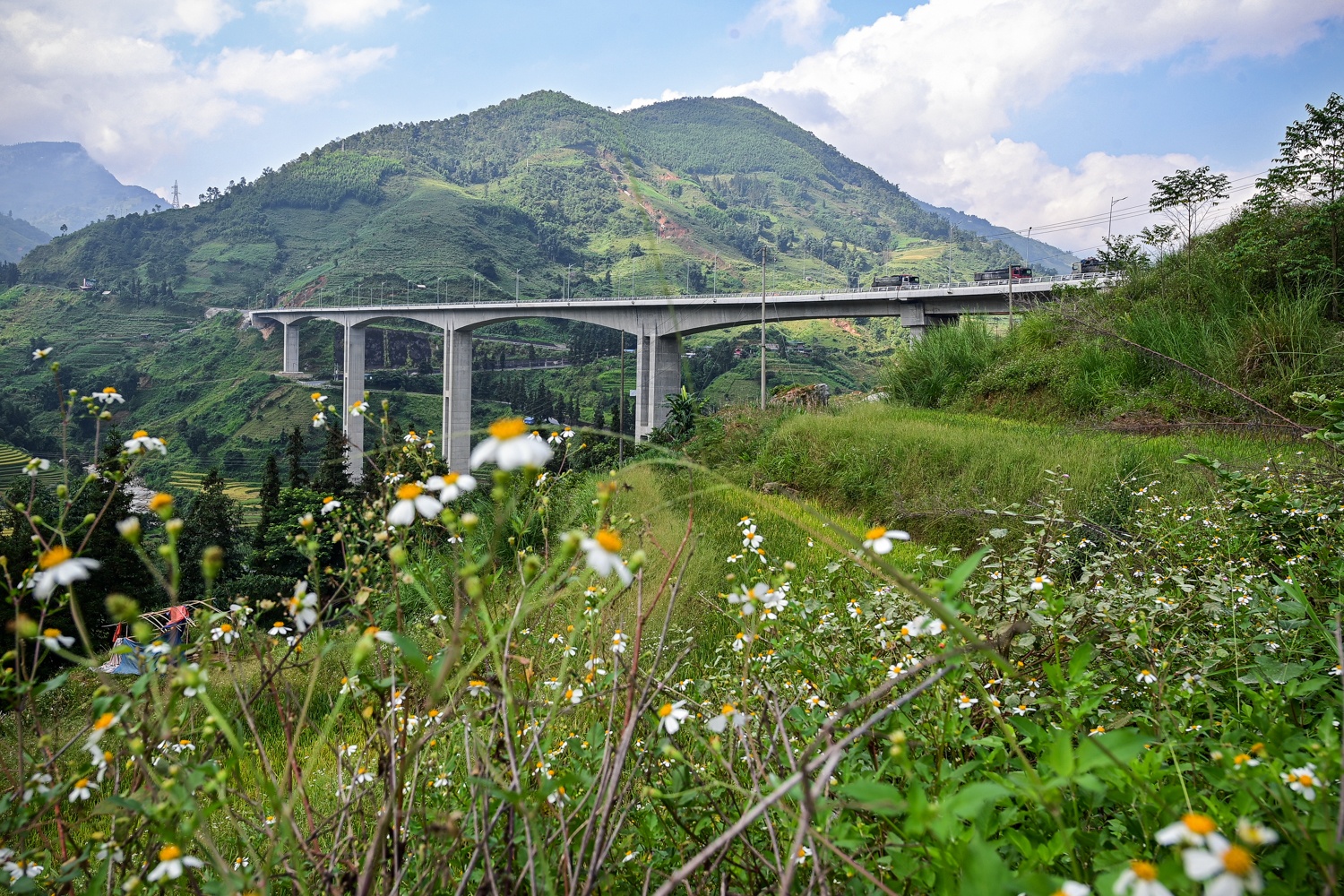 Cau can Mong Sen anh 3