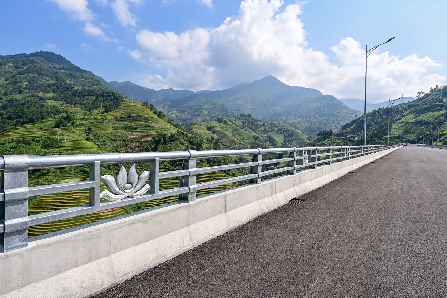 Cau can Mong Sen anh 7