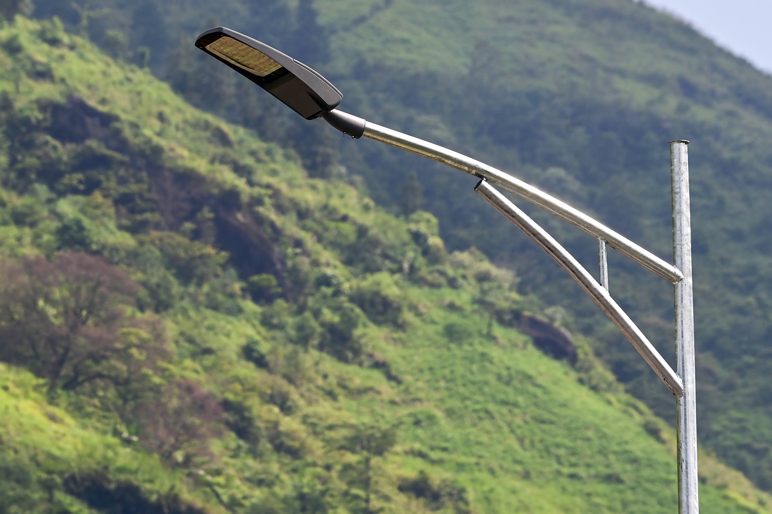 Cau can Mong Sen anh 8