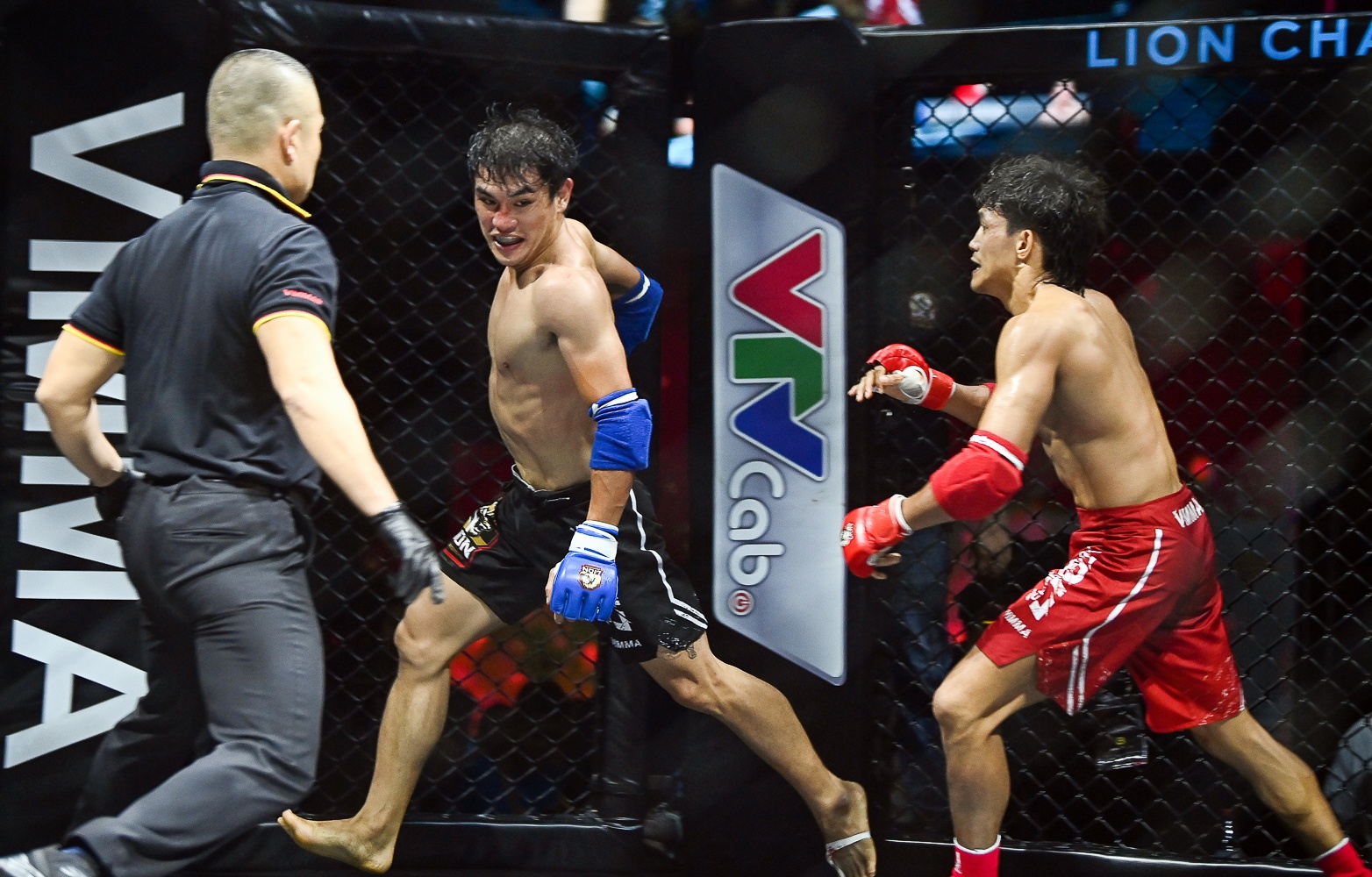 Ban ket MMA Viet Nam anh 11