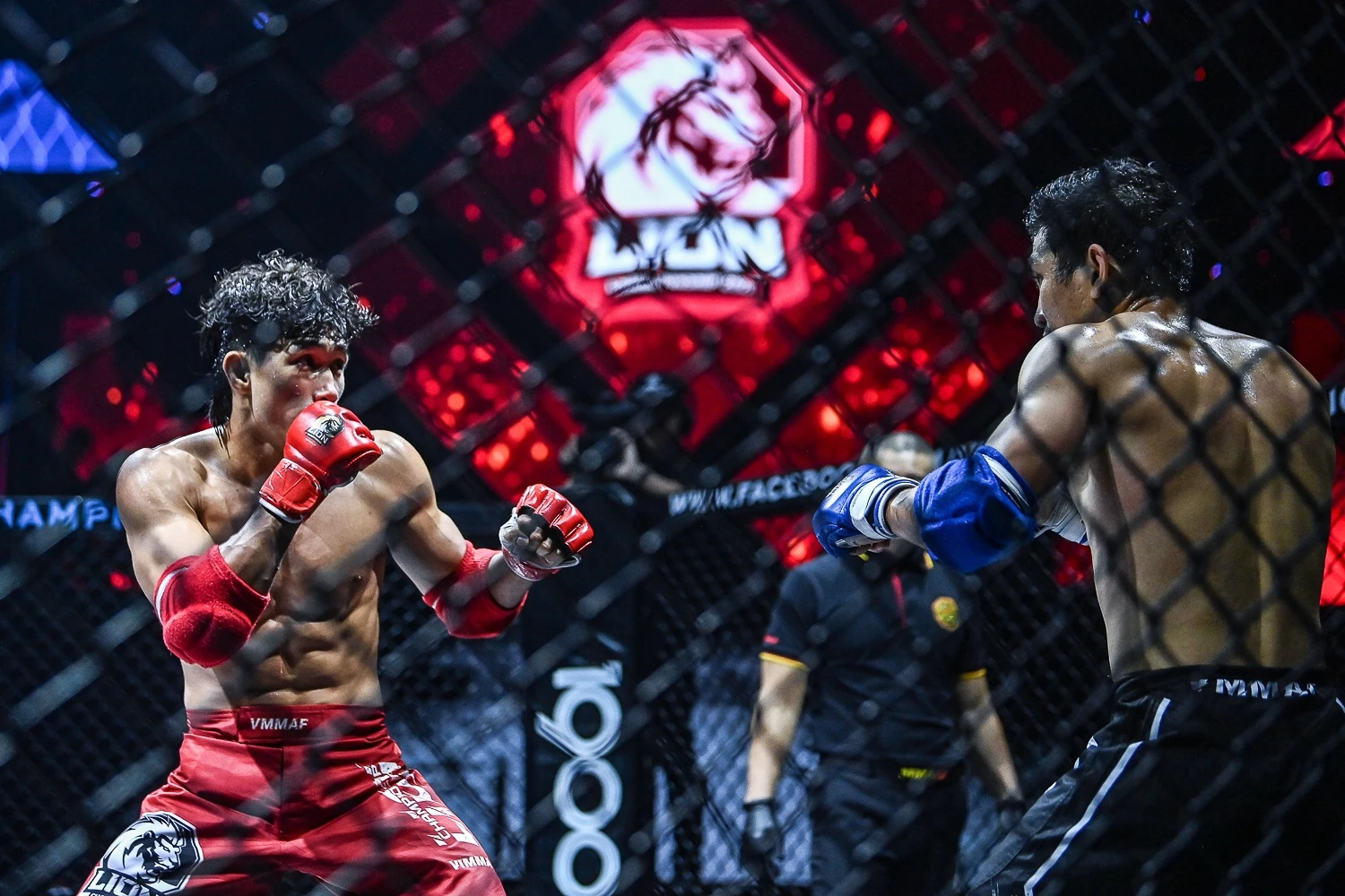 Nguyen Tran Duy Nhat MMA anh 1