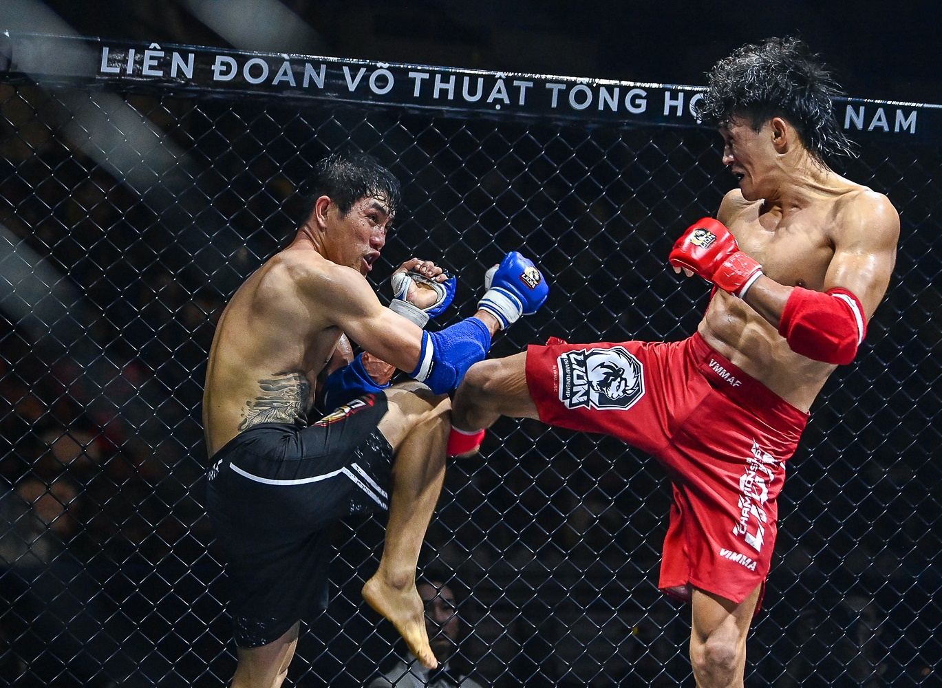 Nguyen Tran Duy Nhat MMA anh 6