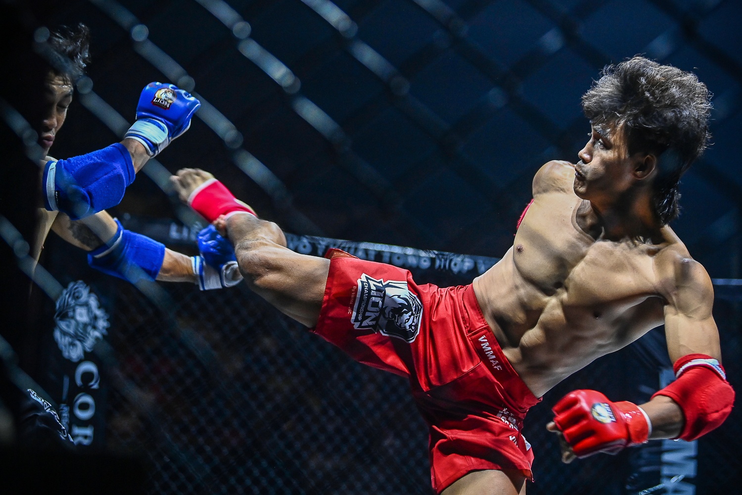 Nguyen Tran Duy Nhat MMA anh 9