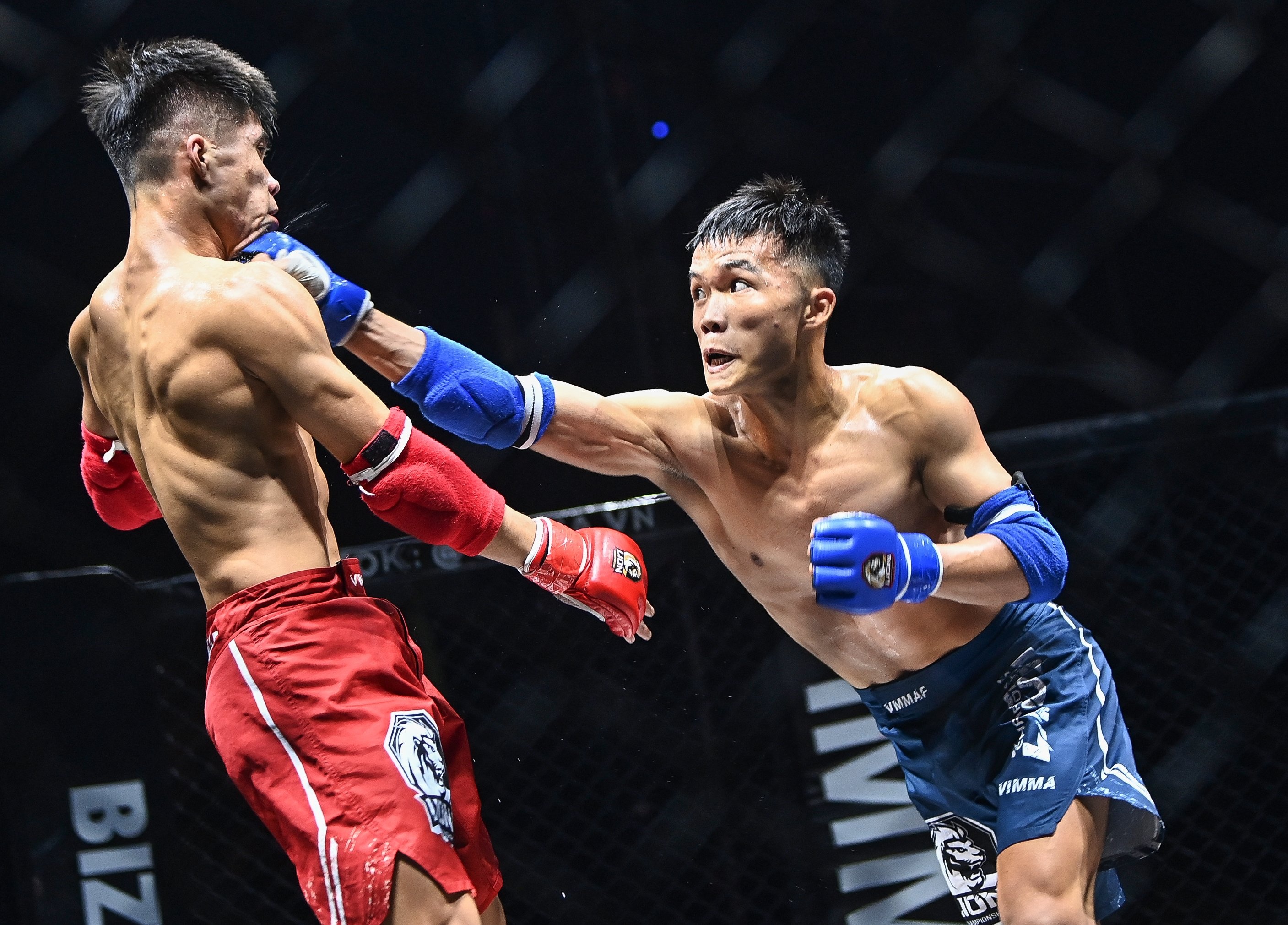 Ban ket MMA Viet Nam anh 4