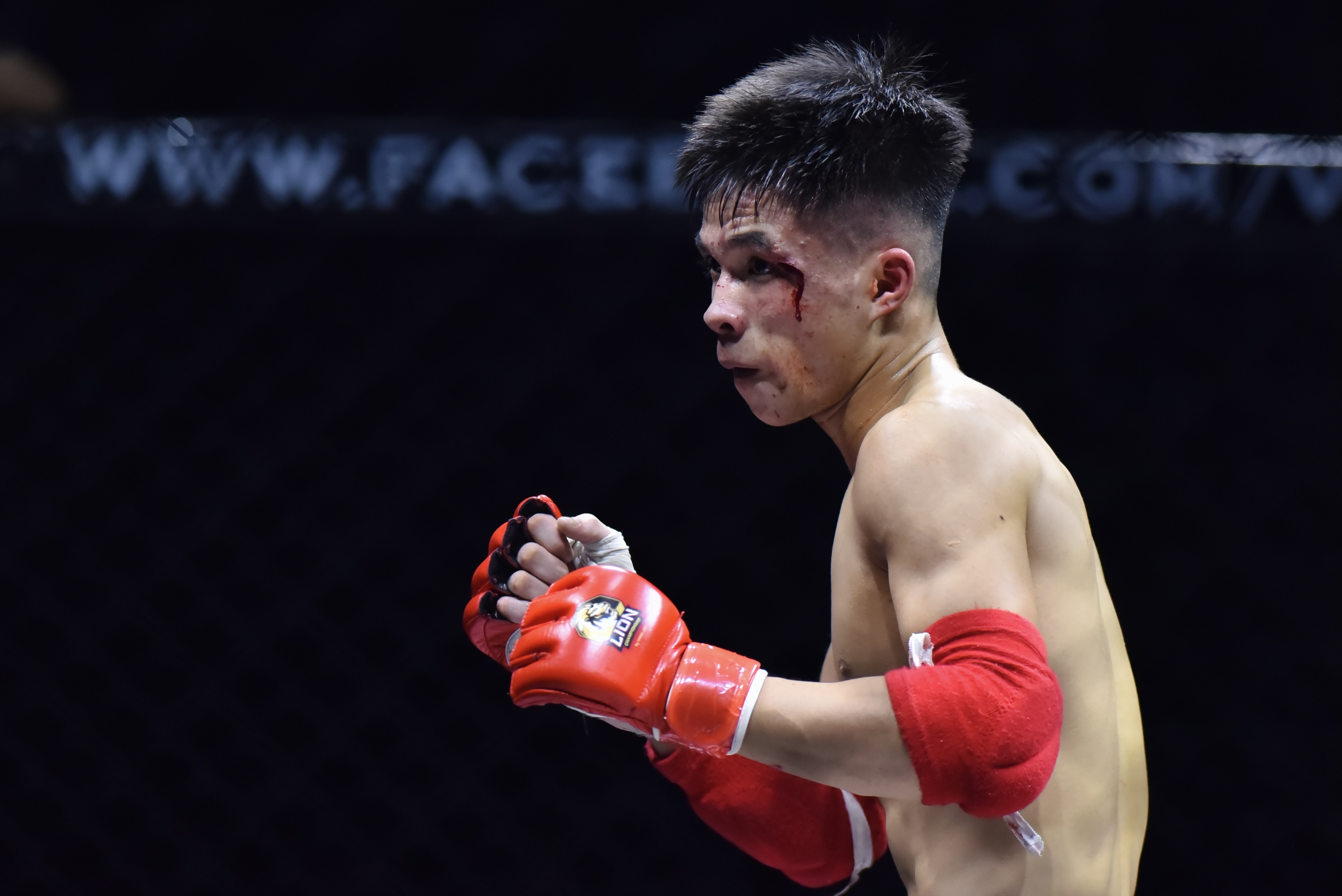 Ban ket MMA Viet Nam anh 6