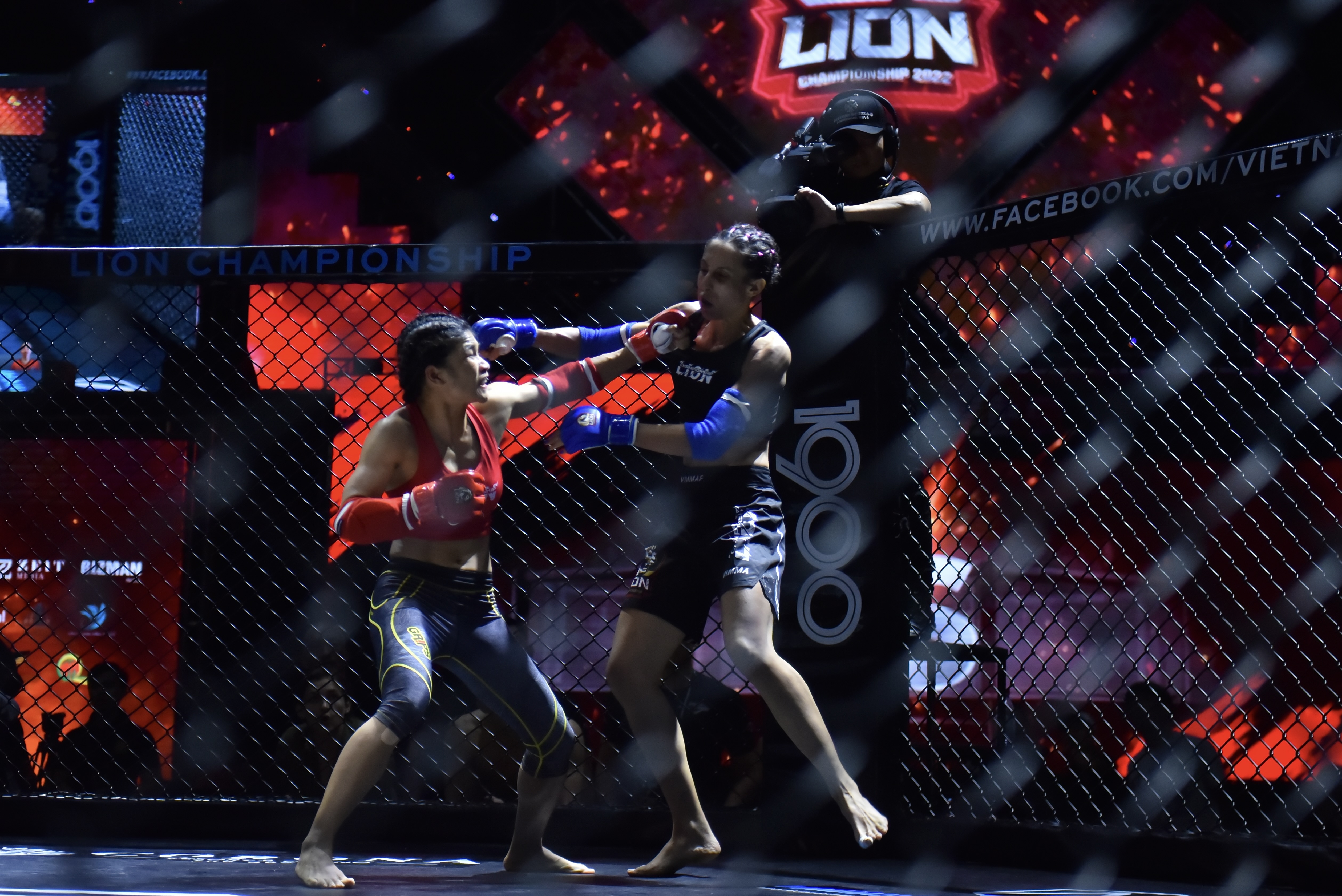 Ban ket MMA Viet Nam anh 8