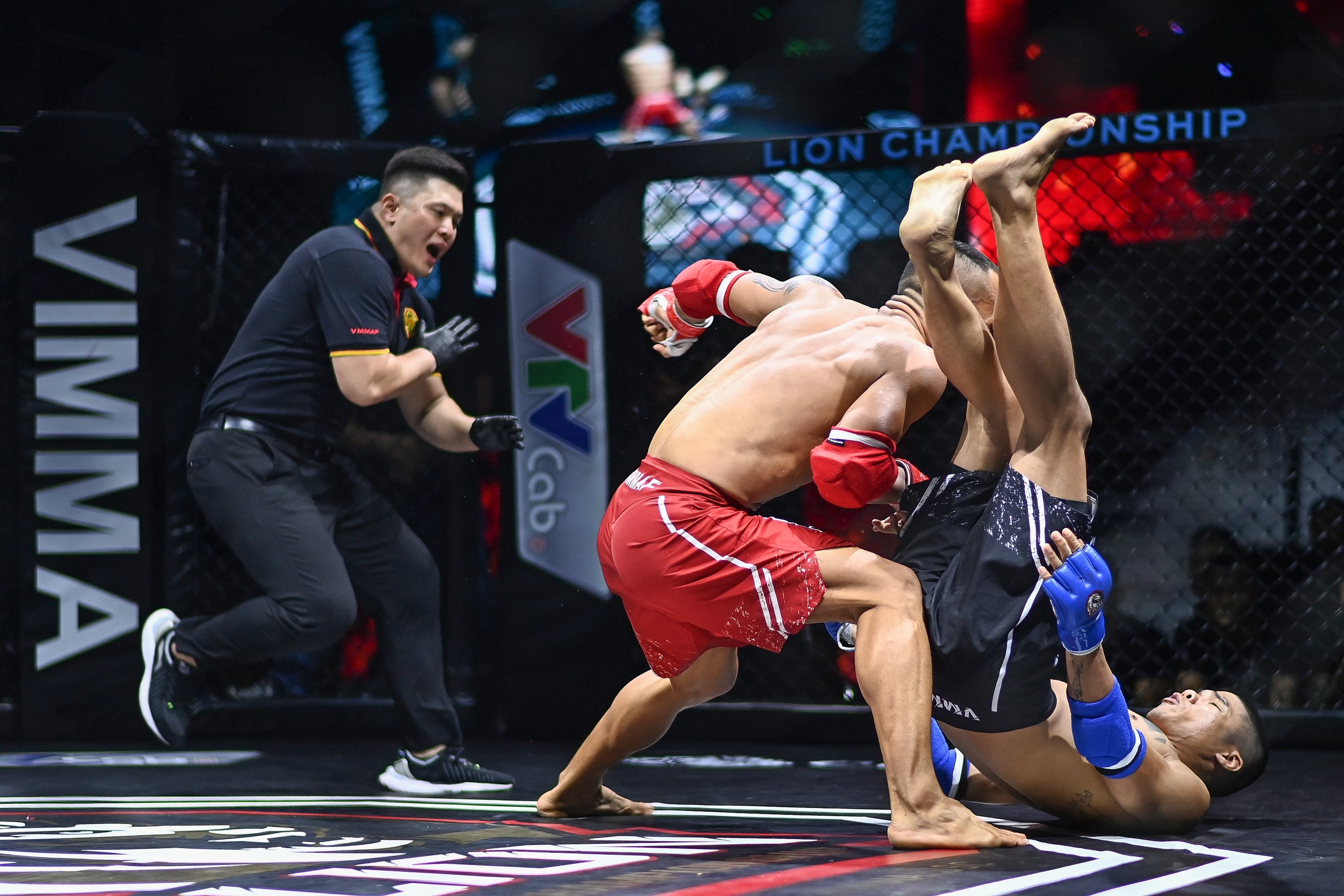 Ban ket MMA Viet Nam anh 9