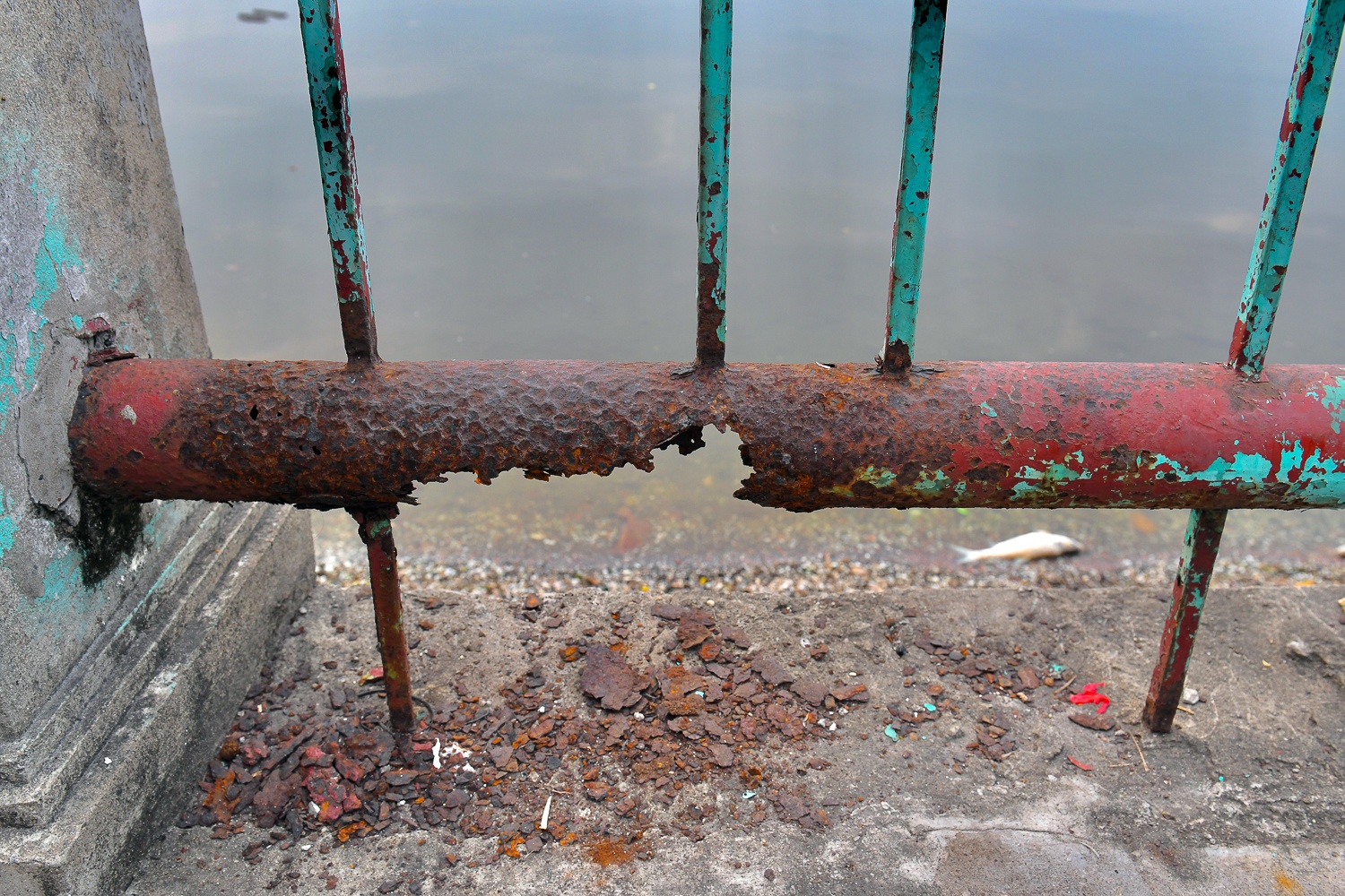 Lan can ho Tay anh 5