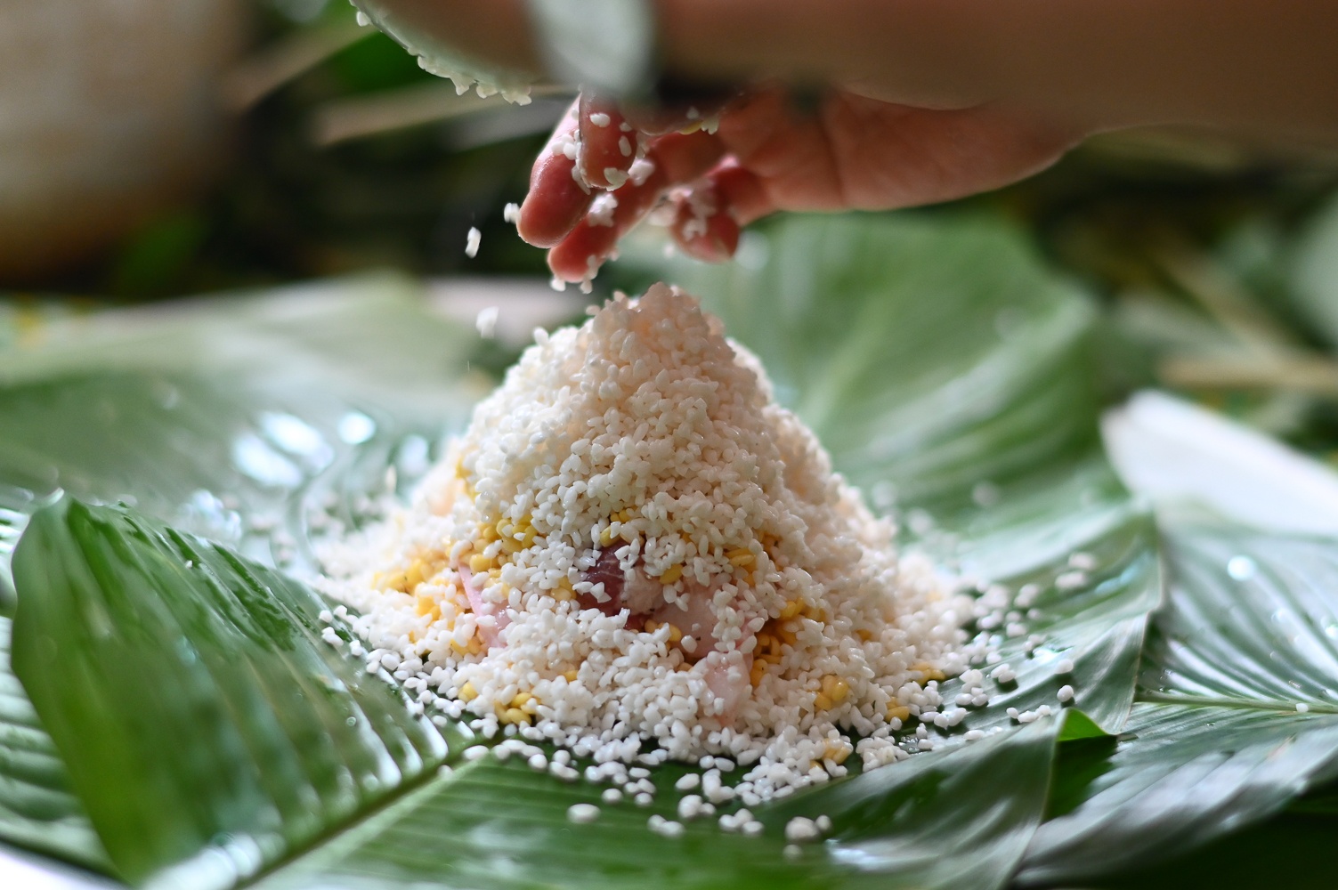 Canh sat goi banh chung anh 6