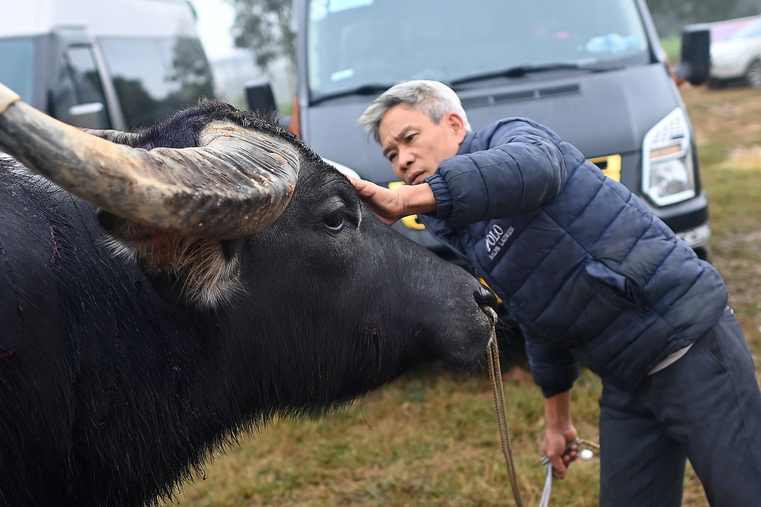 Le hoi choi trau anh 21