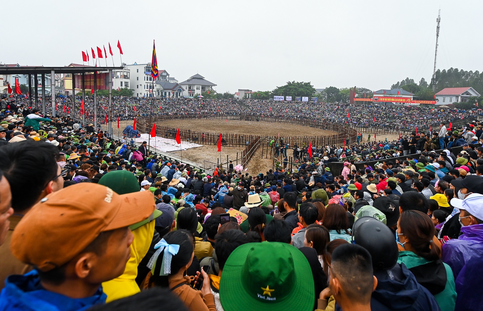 Le hoi choi trau anh 2