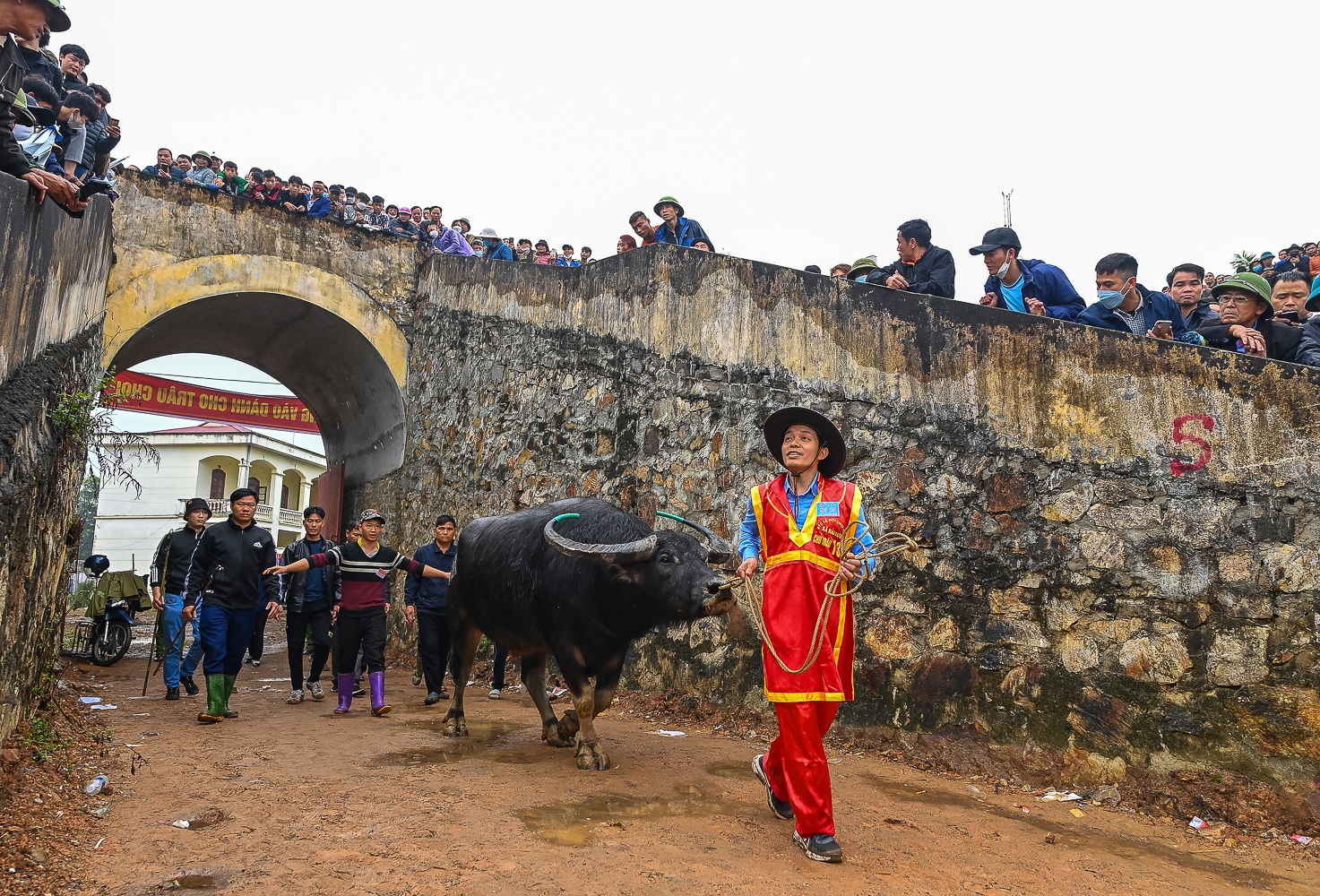 Le hoi choi trau anh 3