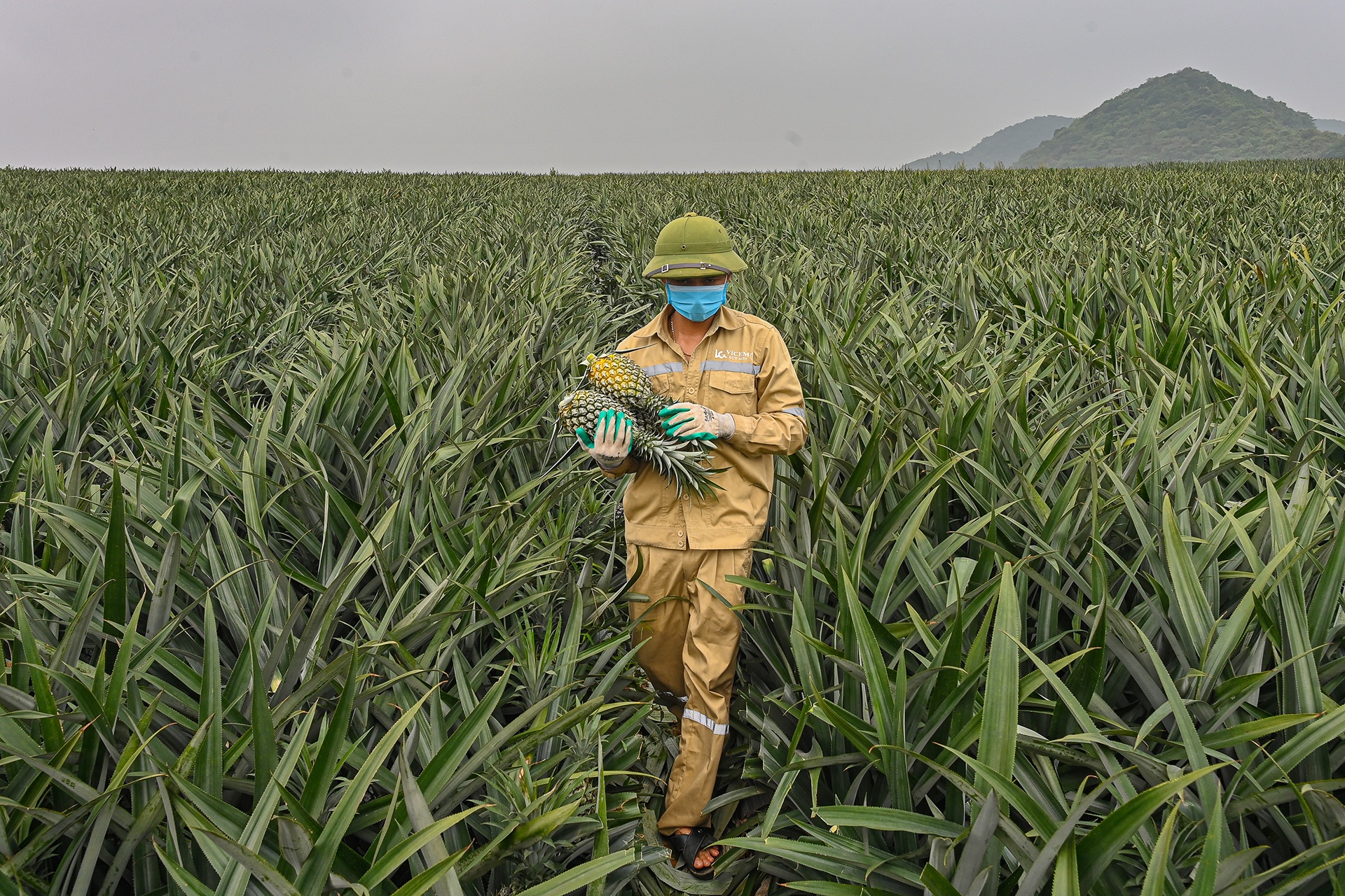 Cao toc 12.000 ty anh 7