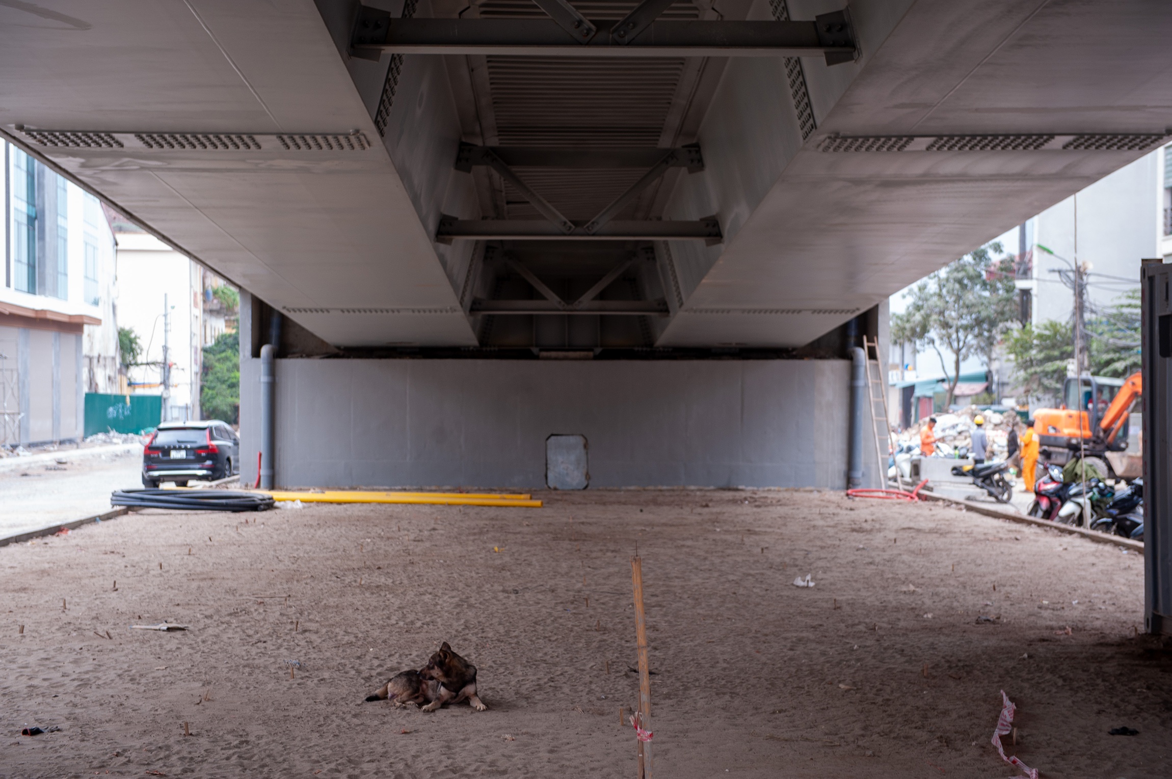 Cau vuot Nguyen Van Cu anh 9