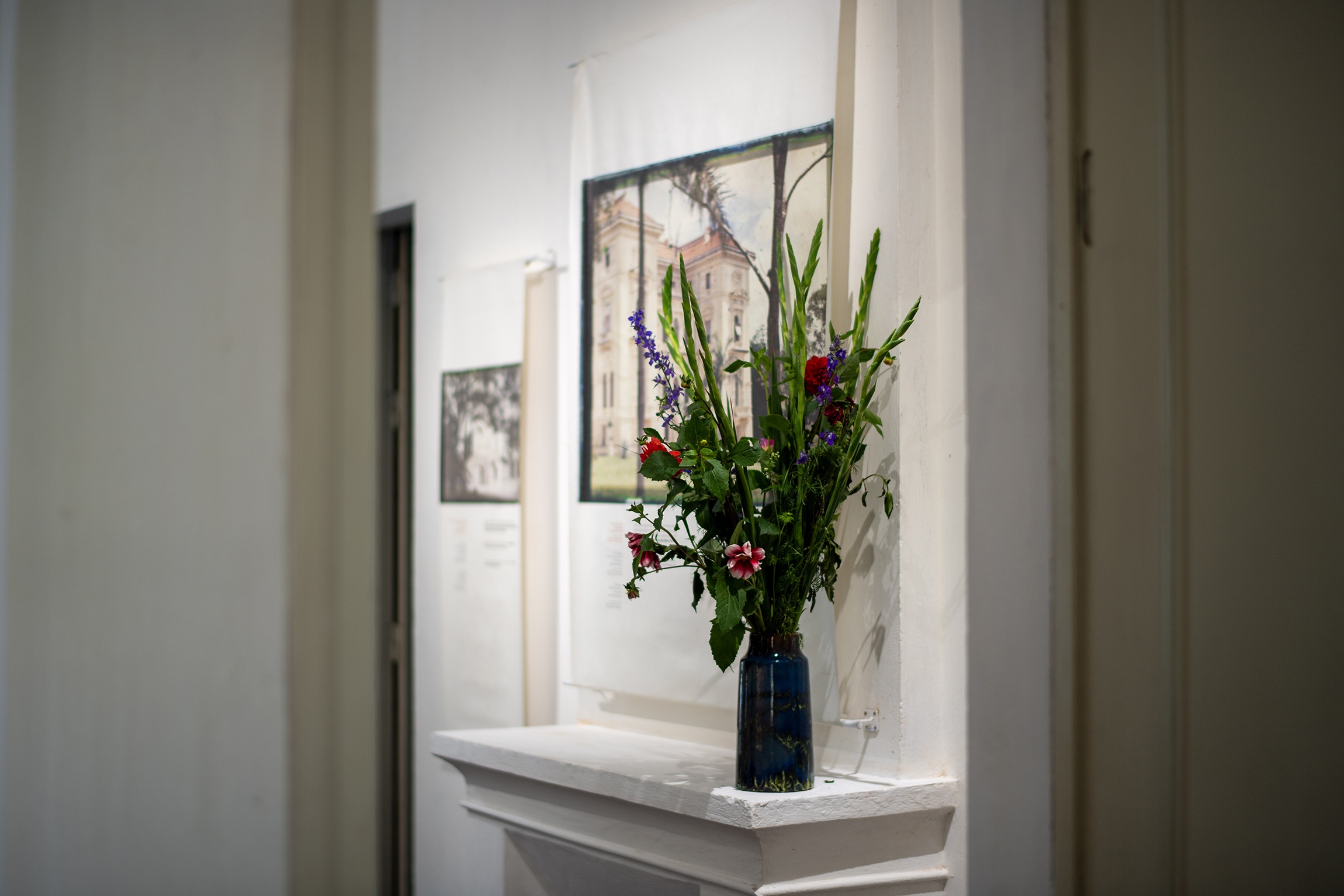 Biet thu Phap co anh 29