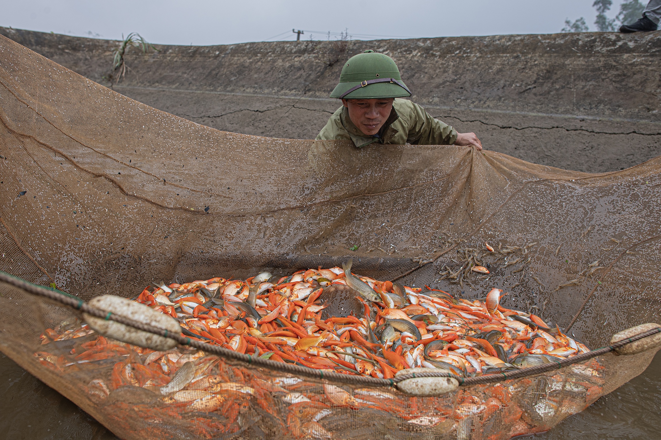 Ca chep cung Tao Quan anh 1