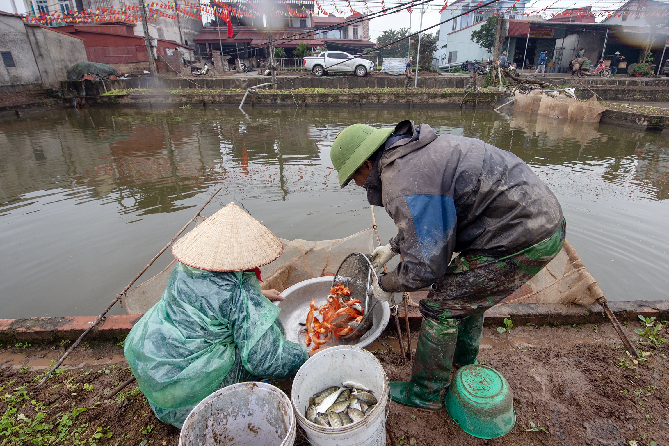 Ca chep cung Tao Quan anh 5