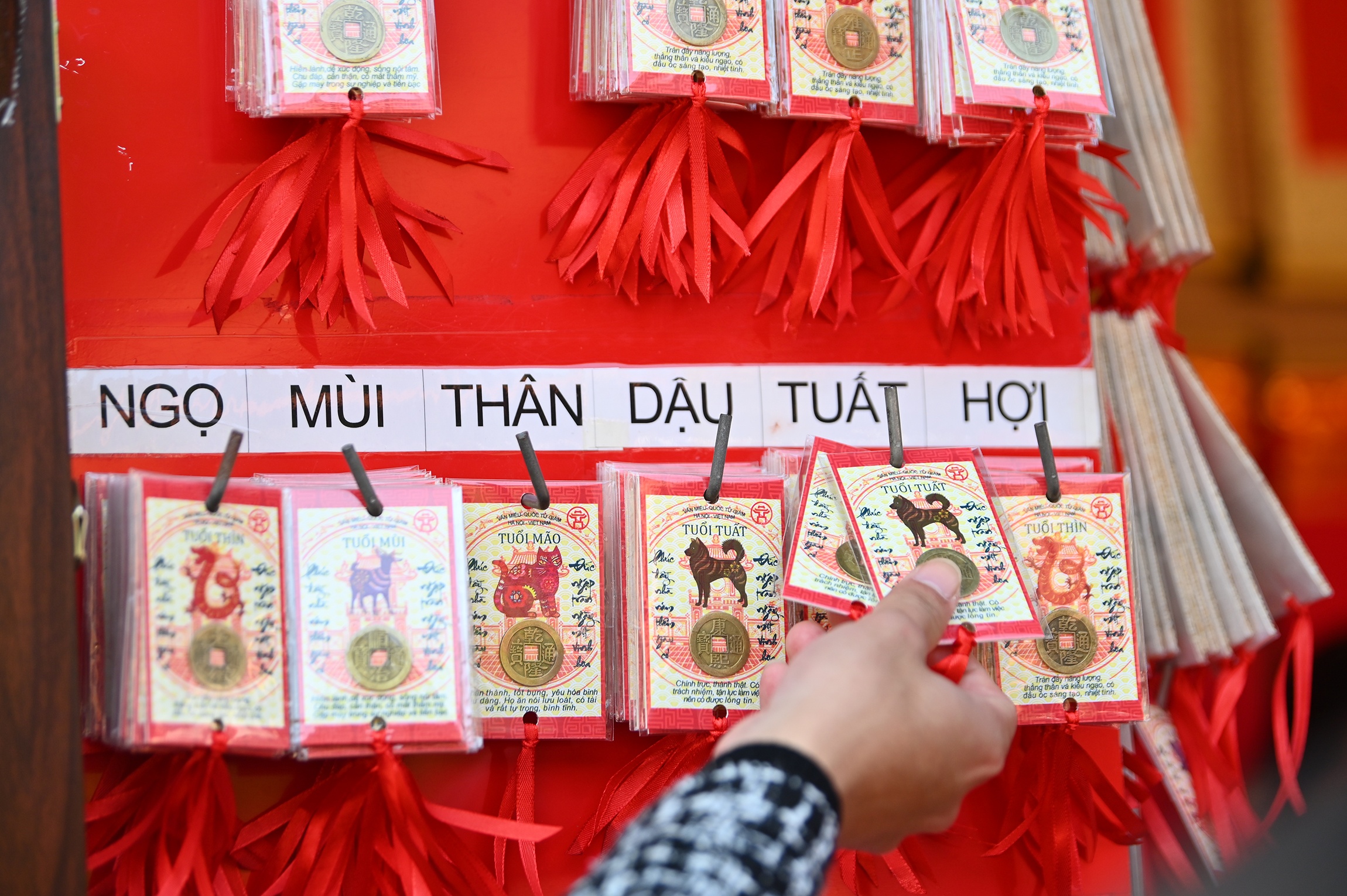 Xin chu ong do anh 14