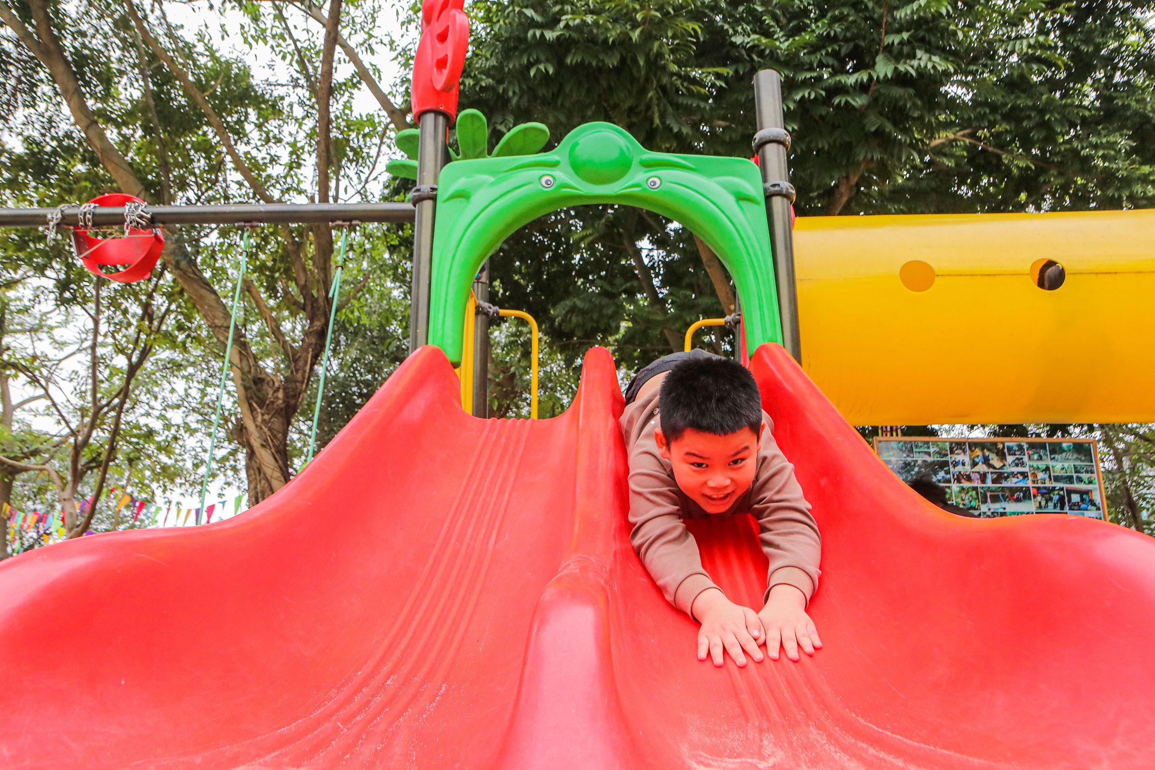 Cong vien rung Ha Noi anh 3