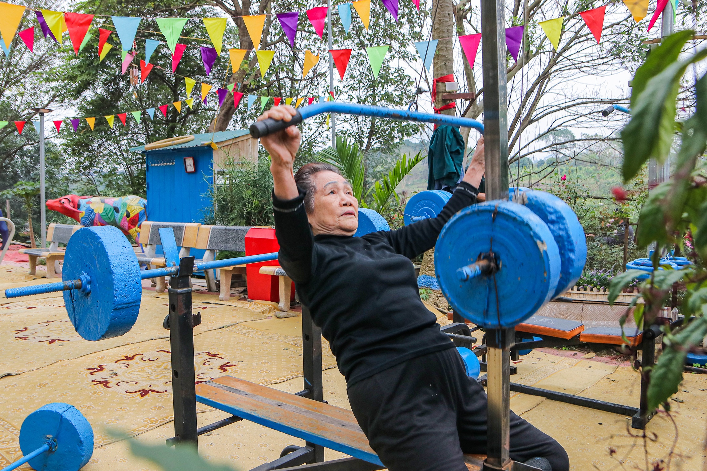 Cong vien rung Ha Noi anh 4