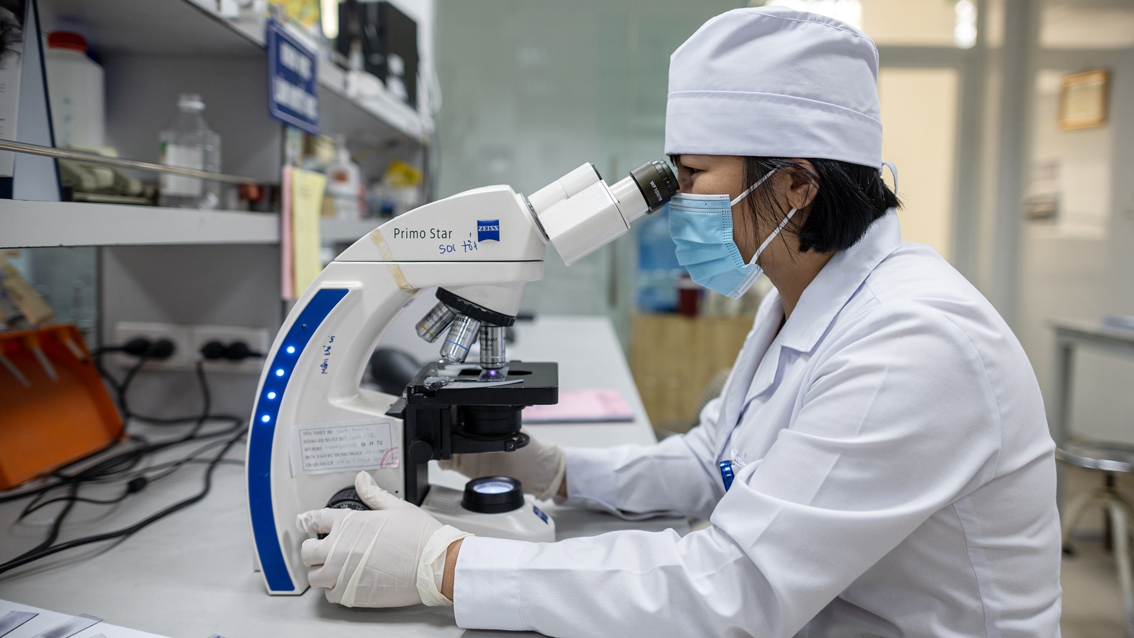 Bệnh bị lãng quên ảnh 7 Benh bi lang quen anh 7