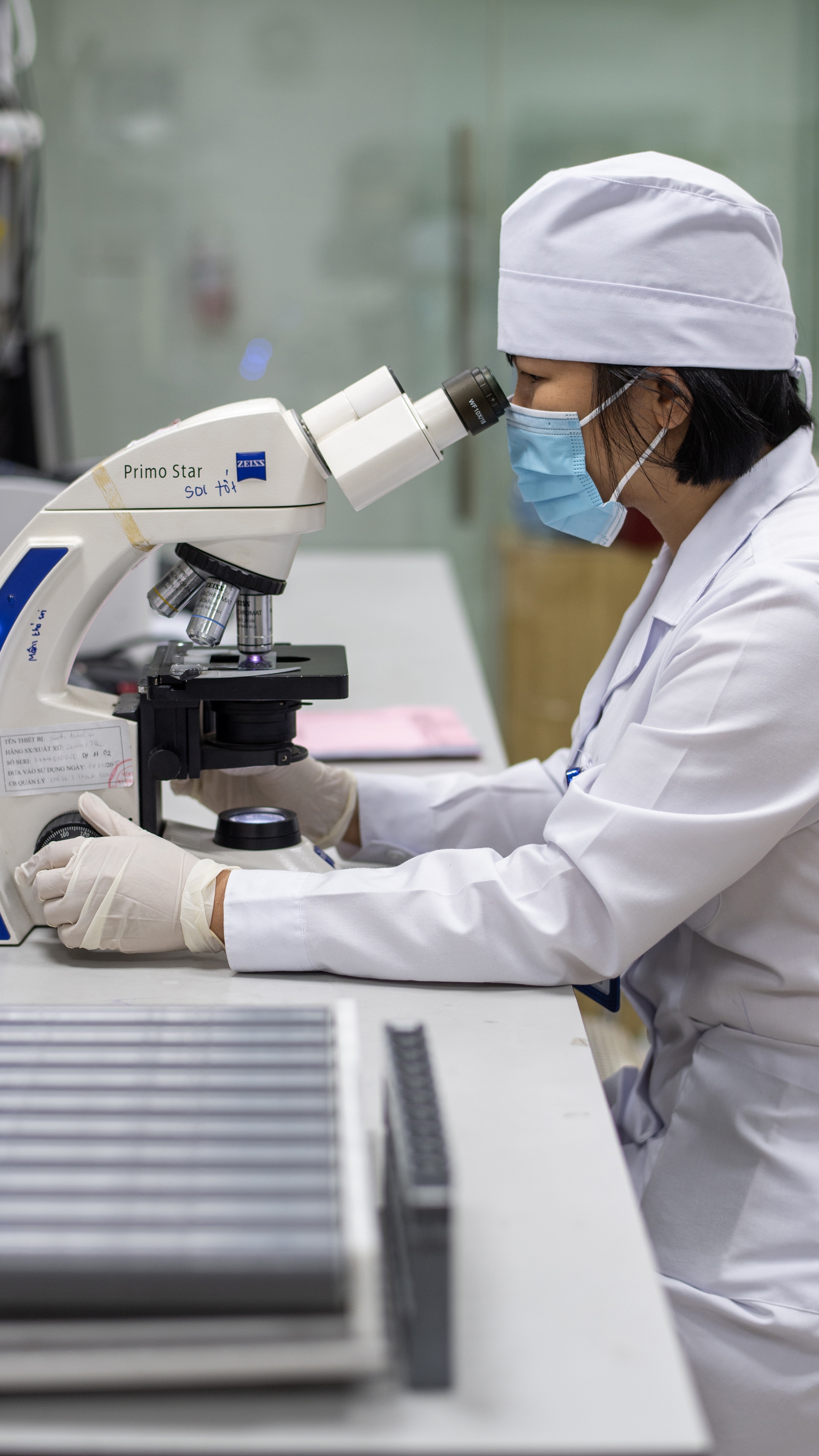 Bệnh bị lãng quên ảnh 8 Benh bi lang quen anh 8