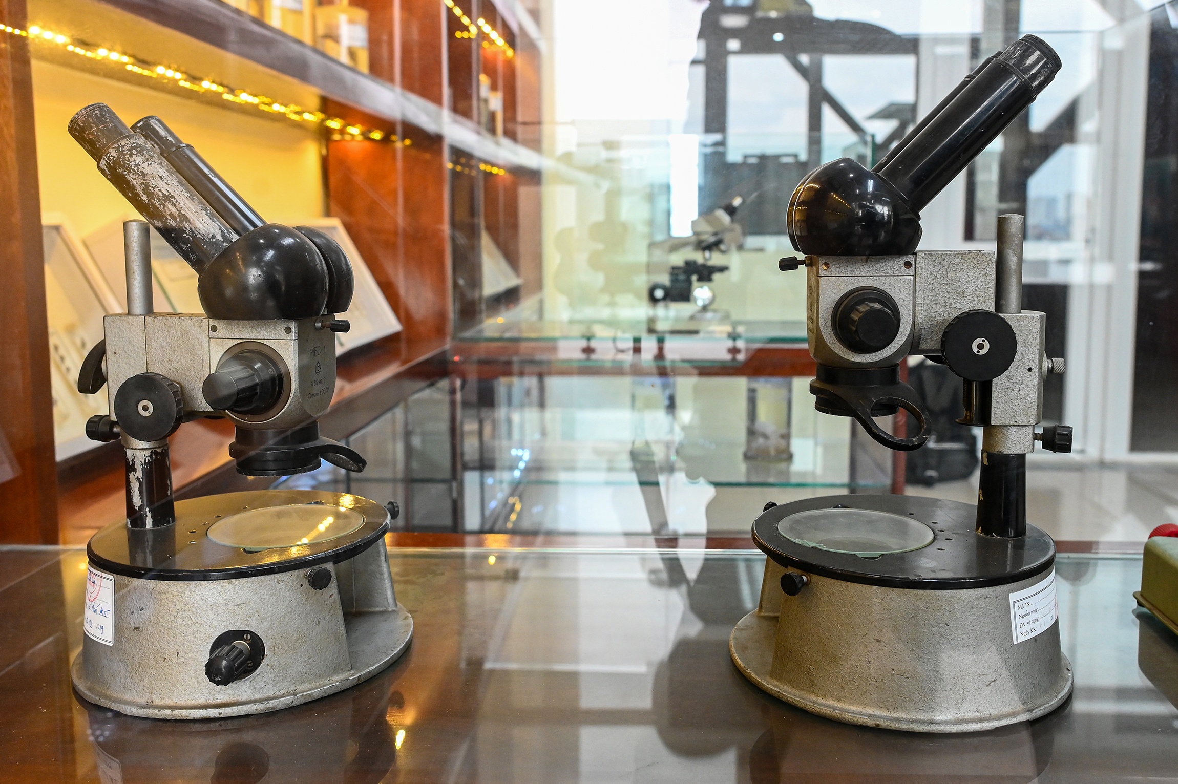 Bao tang ky sinh trung anh 14