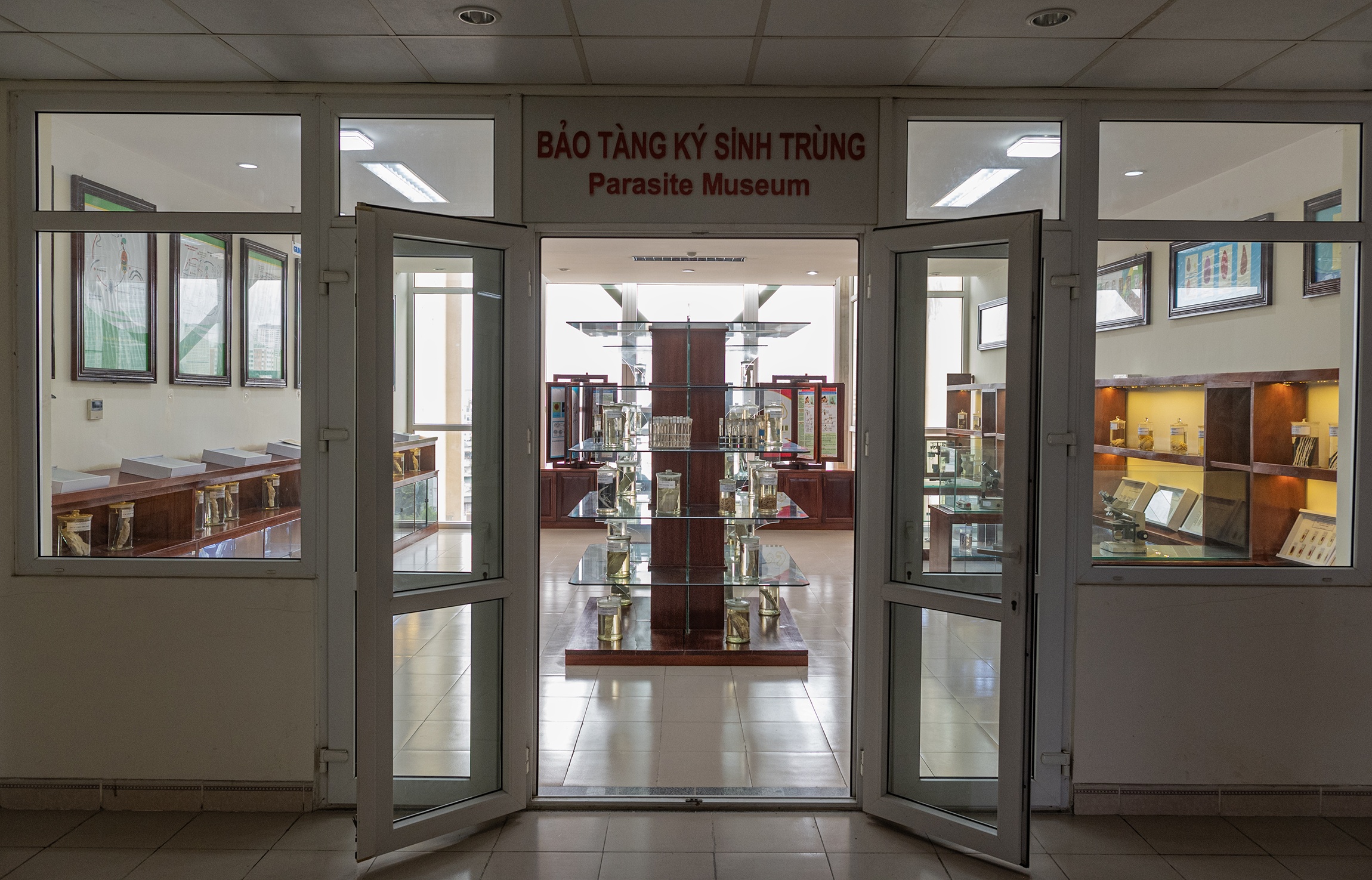 Bảo tàng ký sinh trùng ảnh 1 Bao tang ky sinh trung anh 1