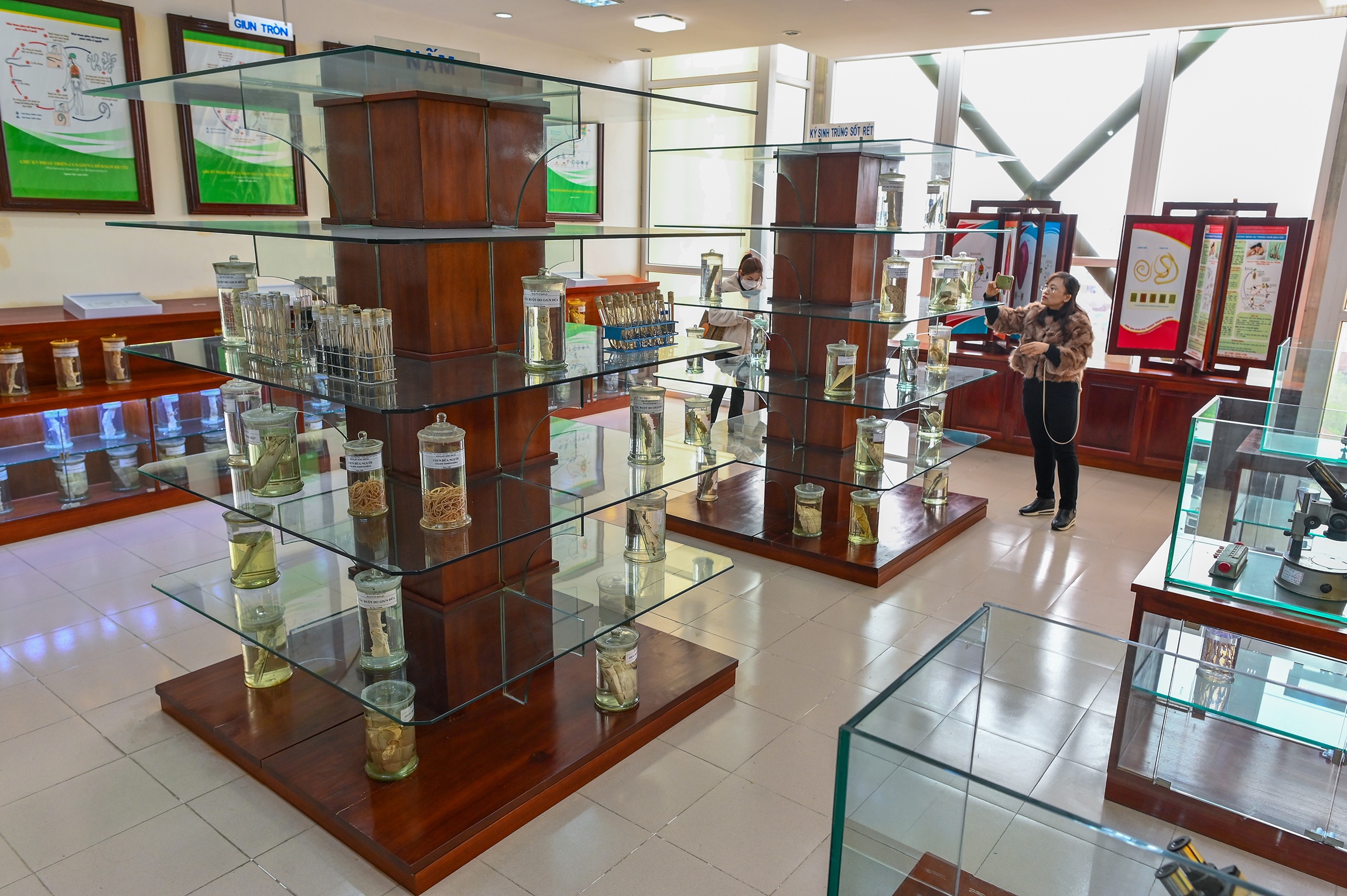 Bao tang ky sinh trung anh 2