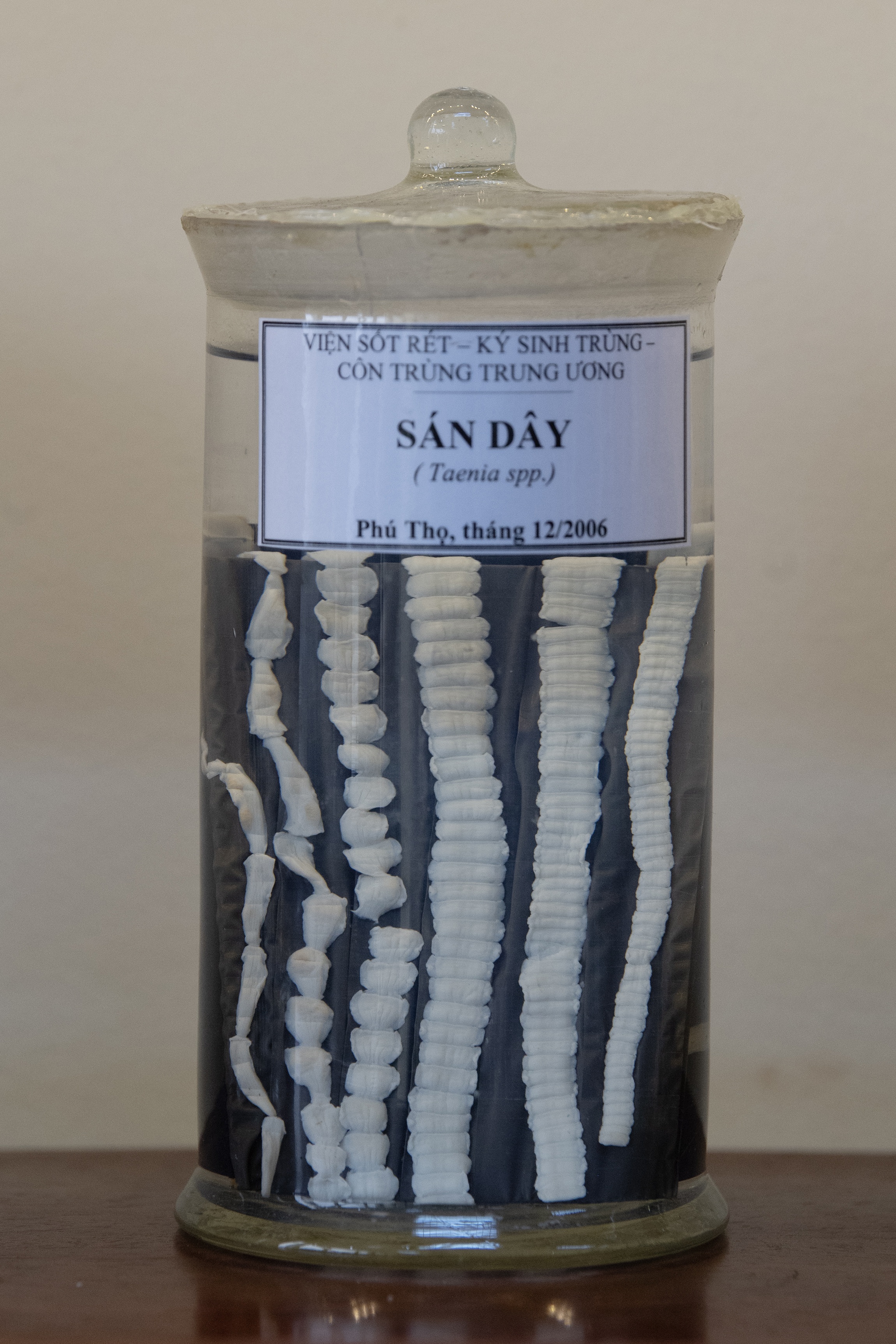 Benh ky sinh trung anh 3