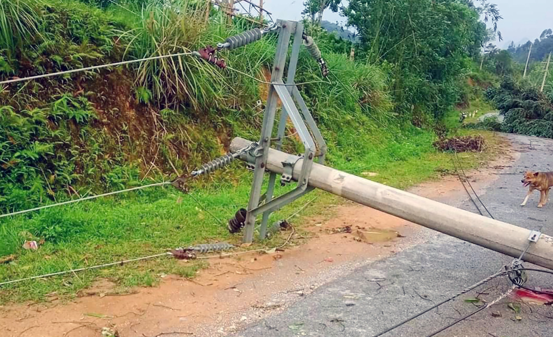 Loc xoay,  Nghe An anh 2