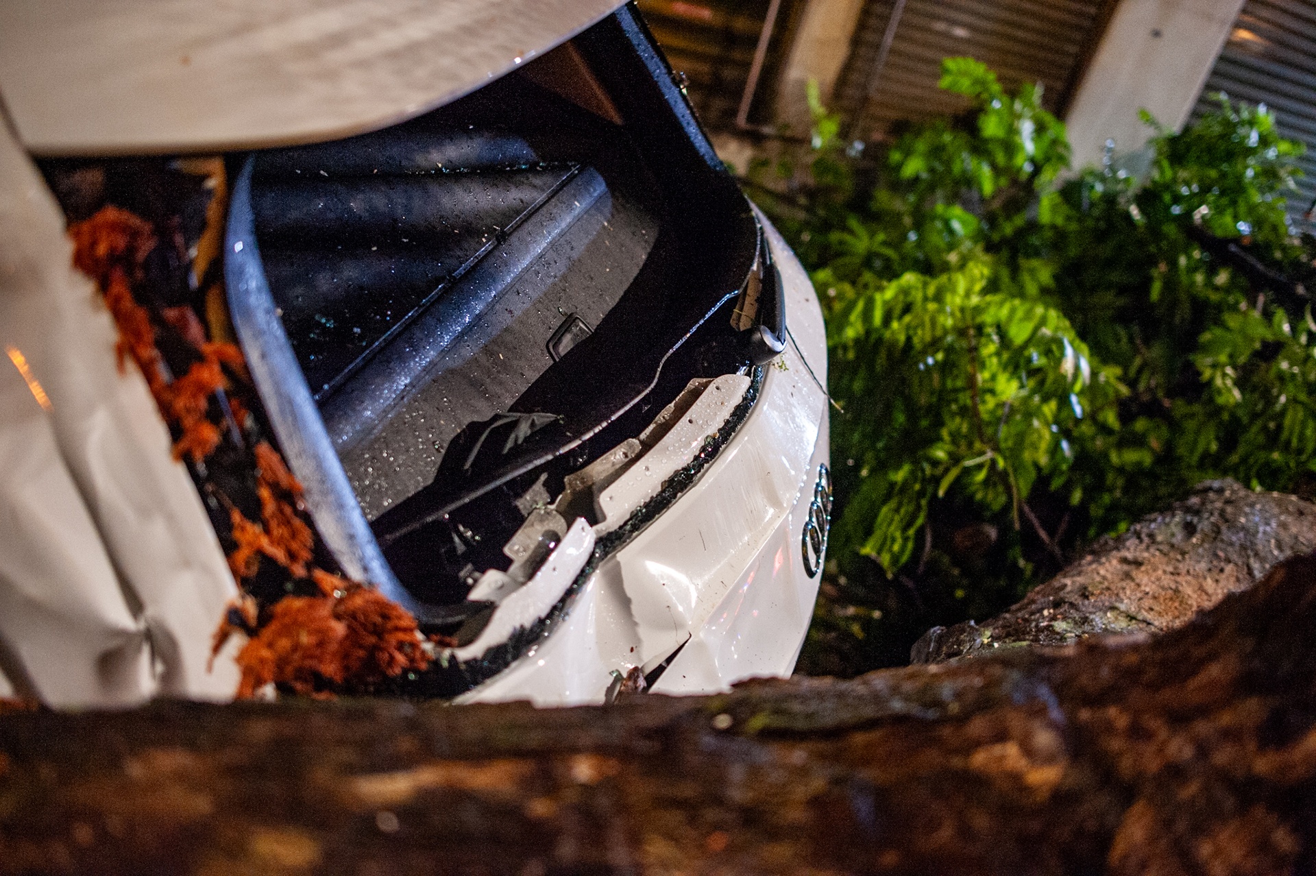 Mua giong o Ha Noi anh 3